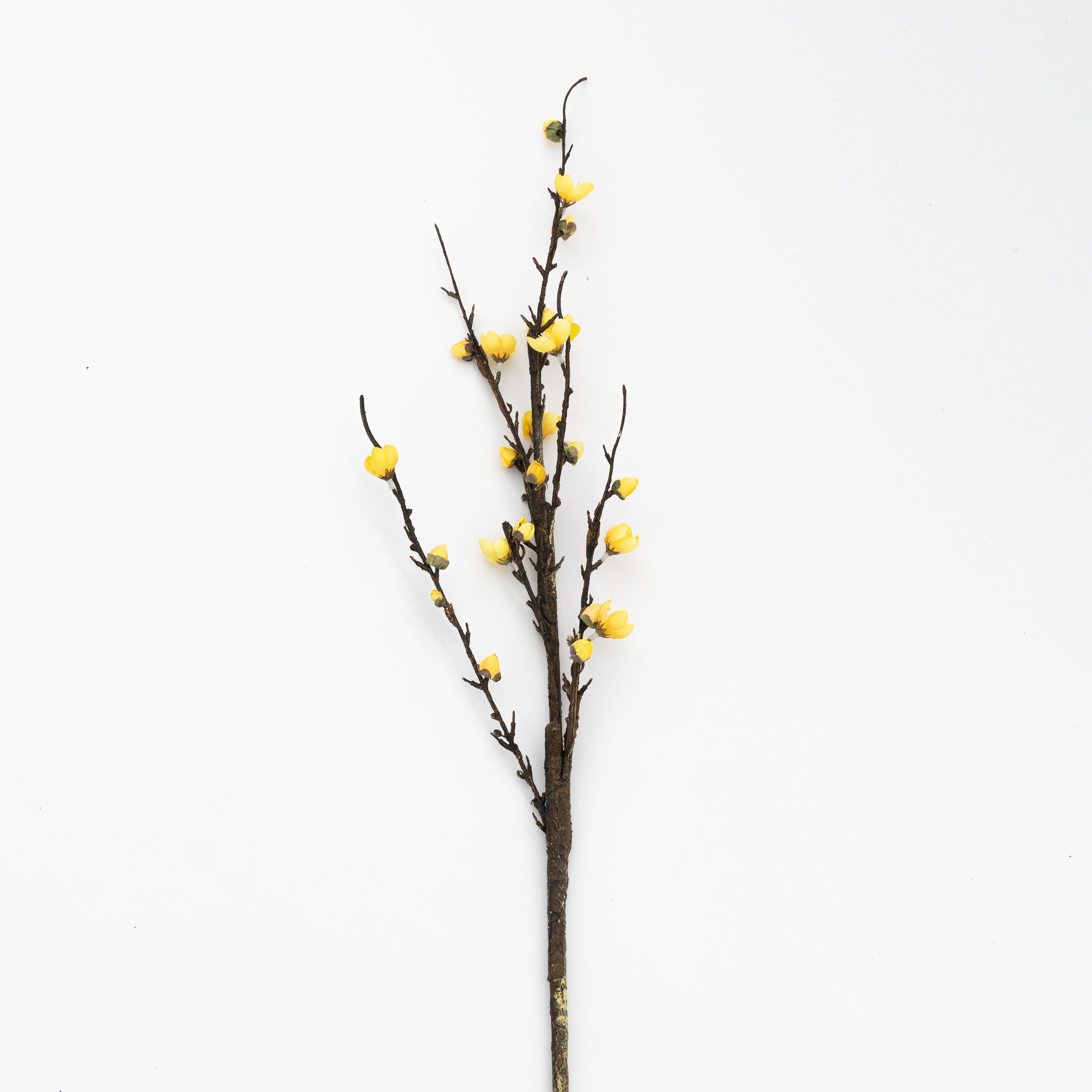 Artificial Plant - Cherry Blossom Yellow - Artificial Flowers - WS Living - UAE Modern Home Furniture Stores in Dubai