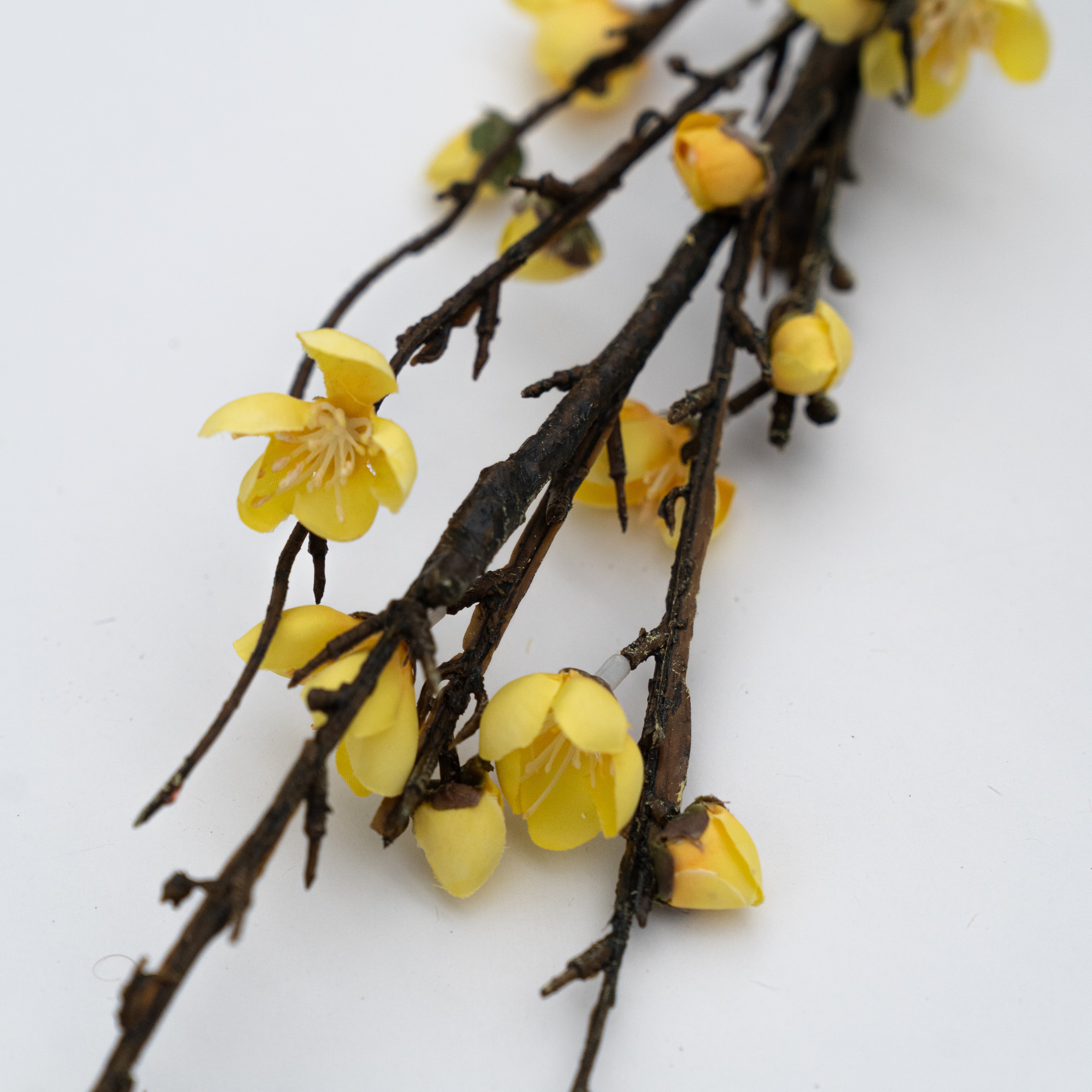 Artificial Plant - Cherry Blossom Yellow - Artificial Flowers - WS Living - UAE Modern Home Furniture Stores in Dubai