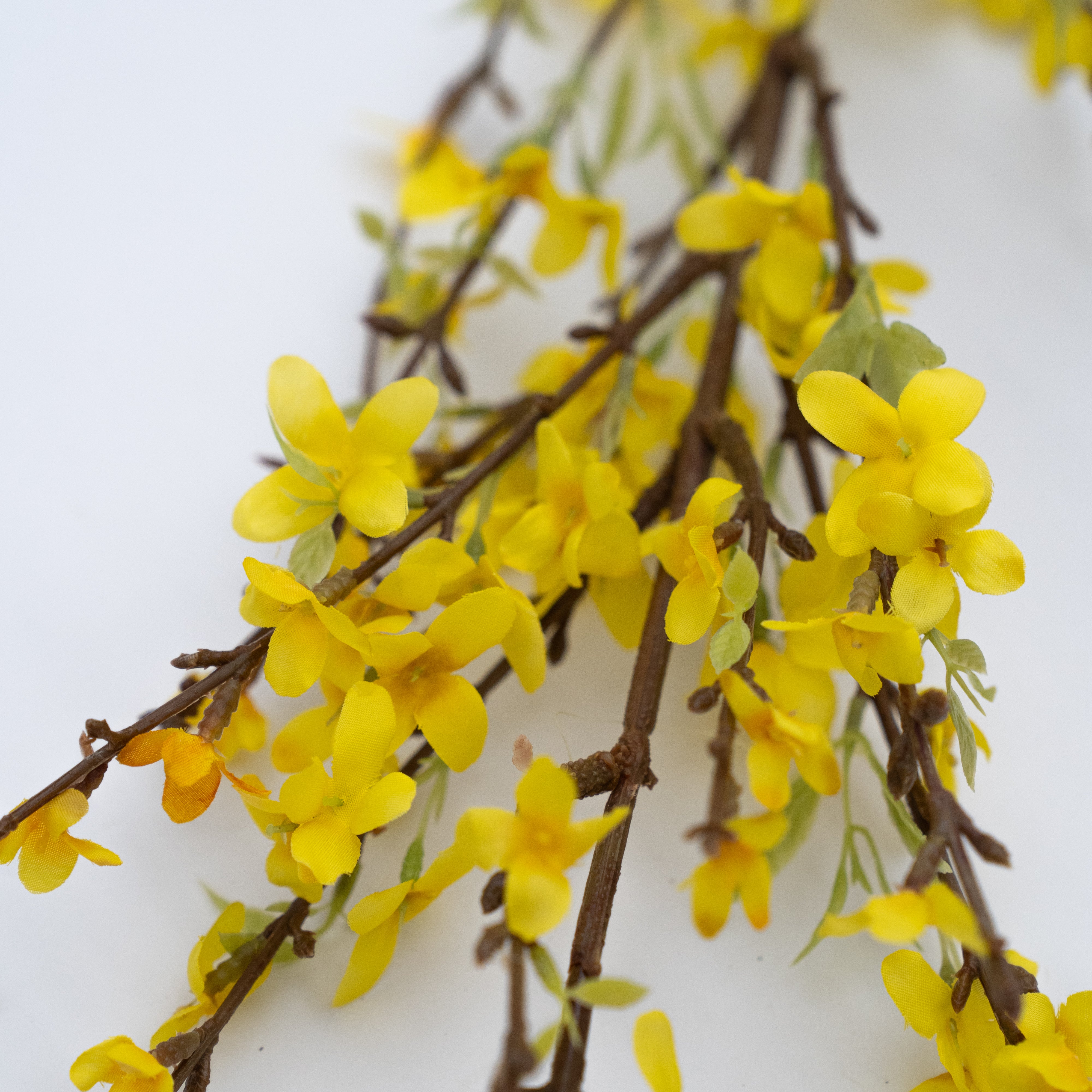 Artificial Plant - Winter Jasmine - Artificial Flowers - WS Living - UAE Modern Home Furniture Stores in Dubai