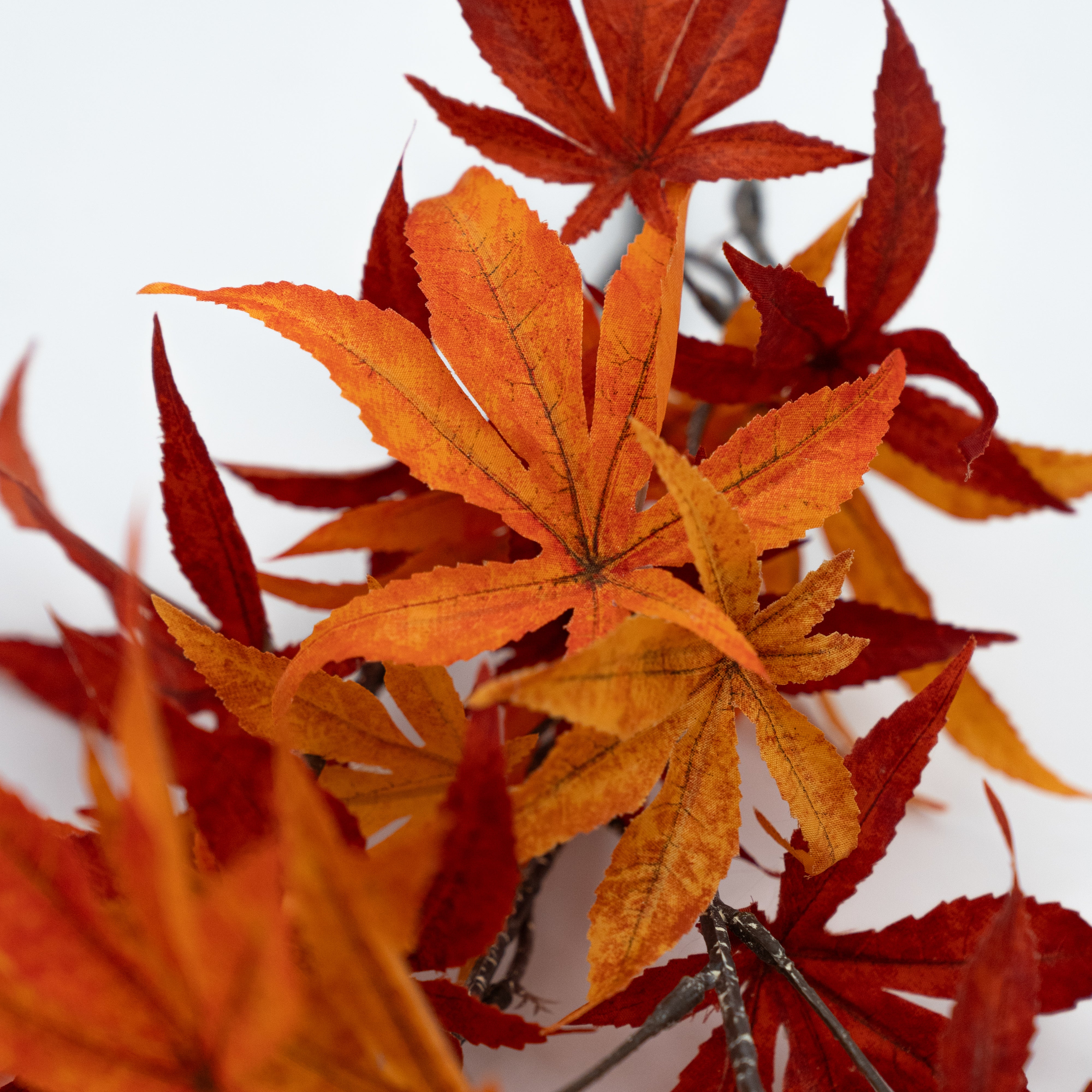 Sana Maple Leaves Artifical Flower - Artificial Flowers - WS Living - UAE Modern Home Furniture Stores in Dubai