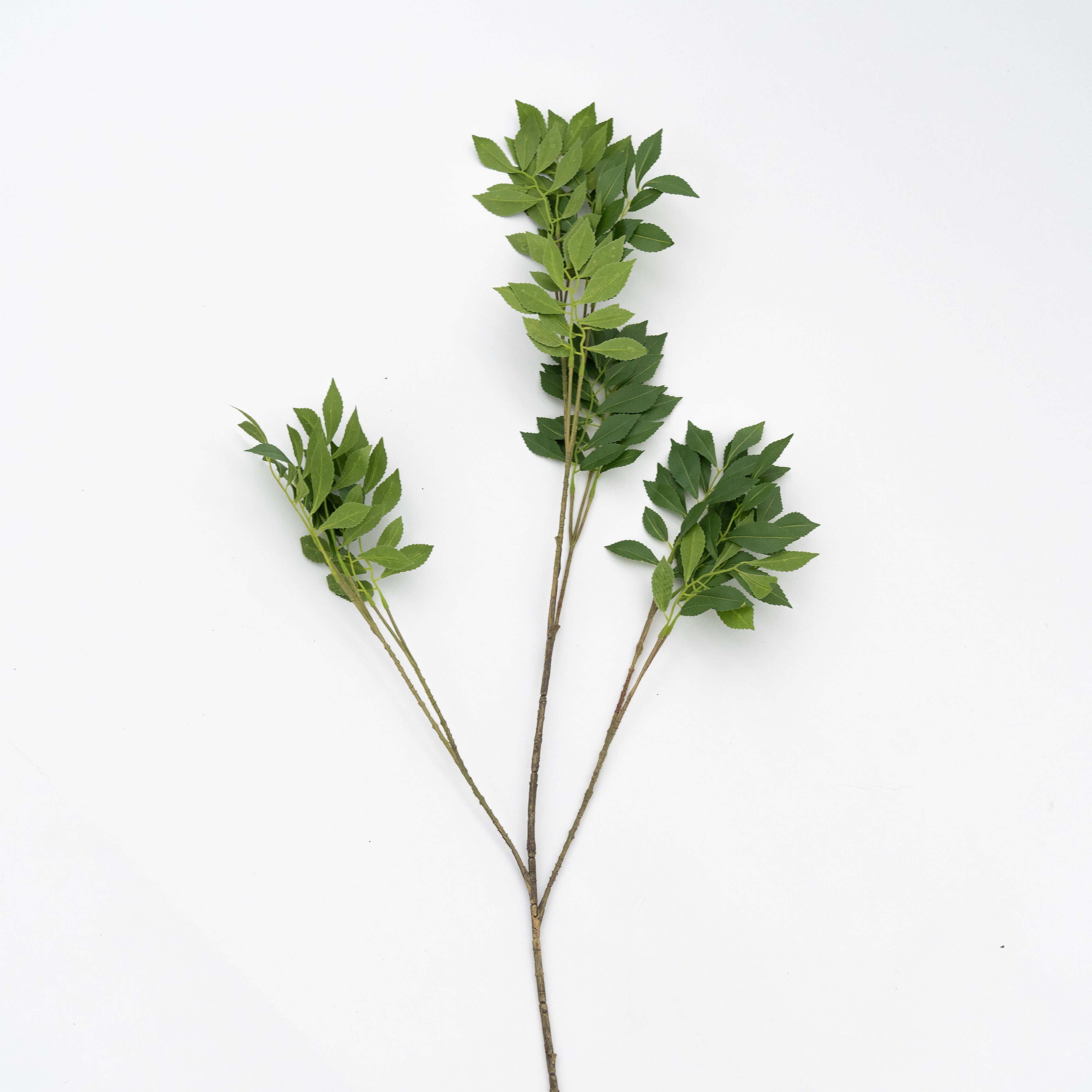 Artificial Plant - Bergenia Green - Artificial Flowers - WS Living - UAE Modern Home Furniture Stores in Dubai