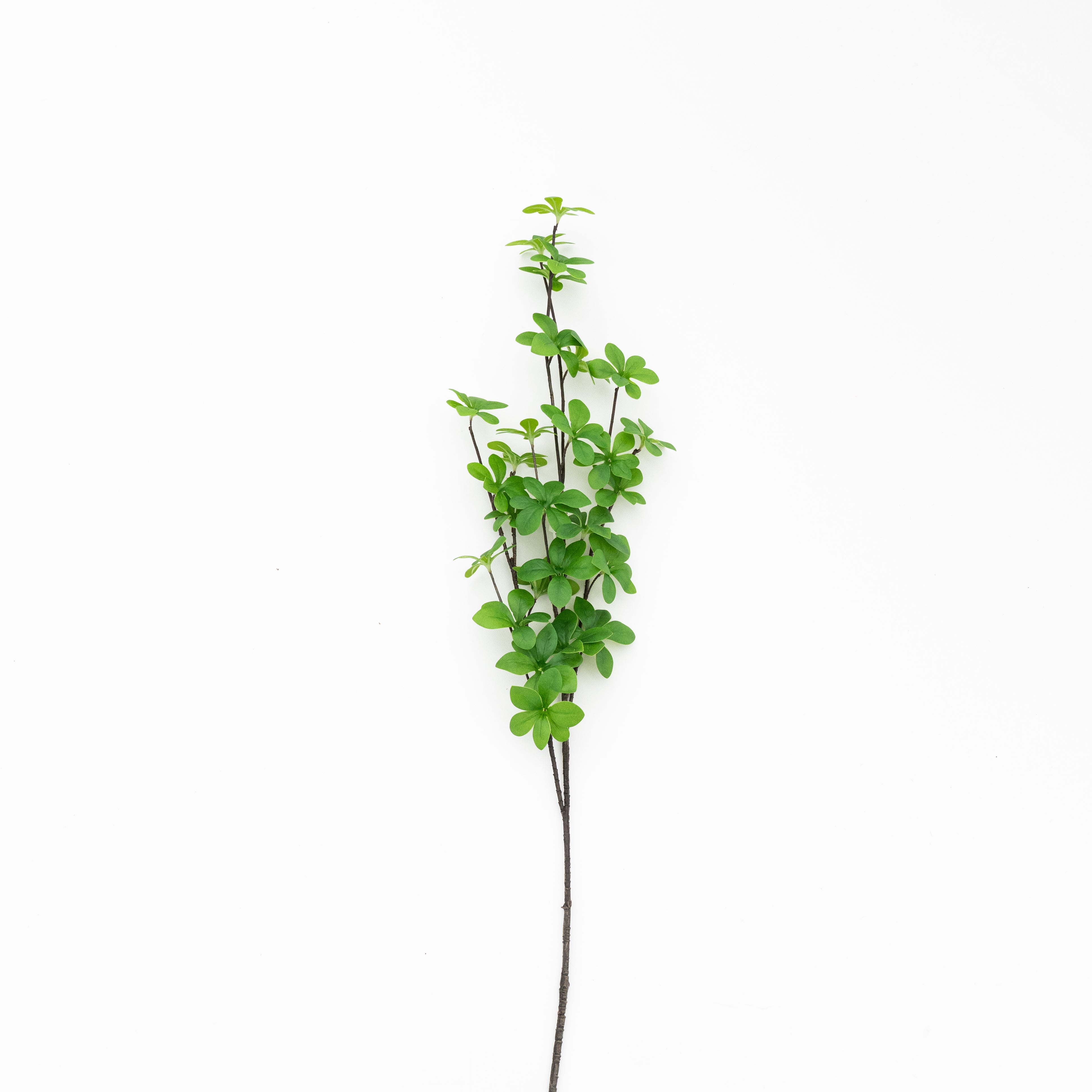Willow Artificial Flower - Artificial Flowers - WS Living Furniture Furniture Store in Dubai