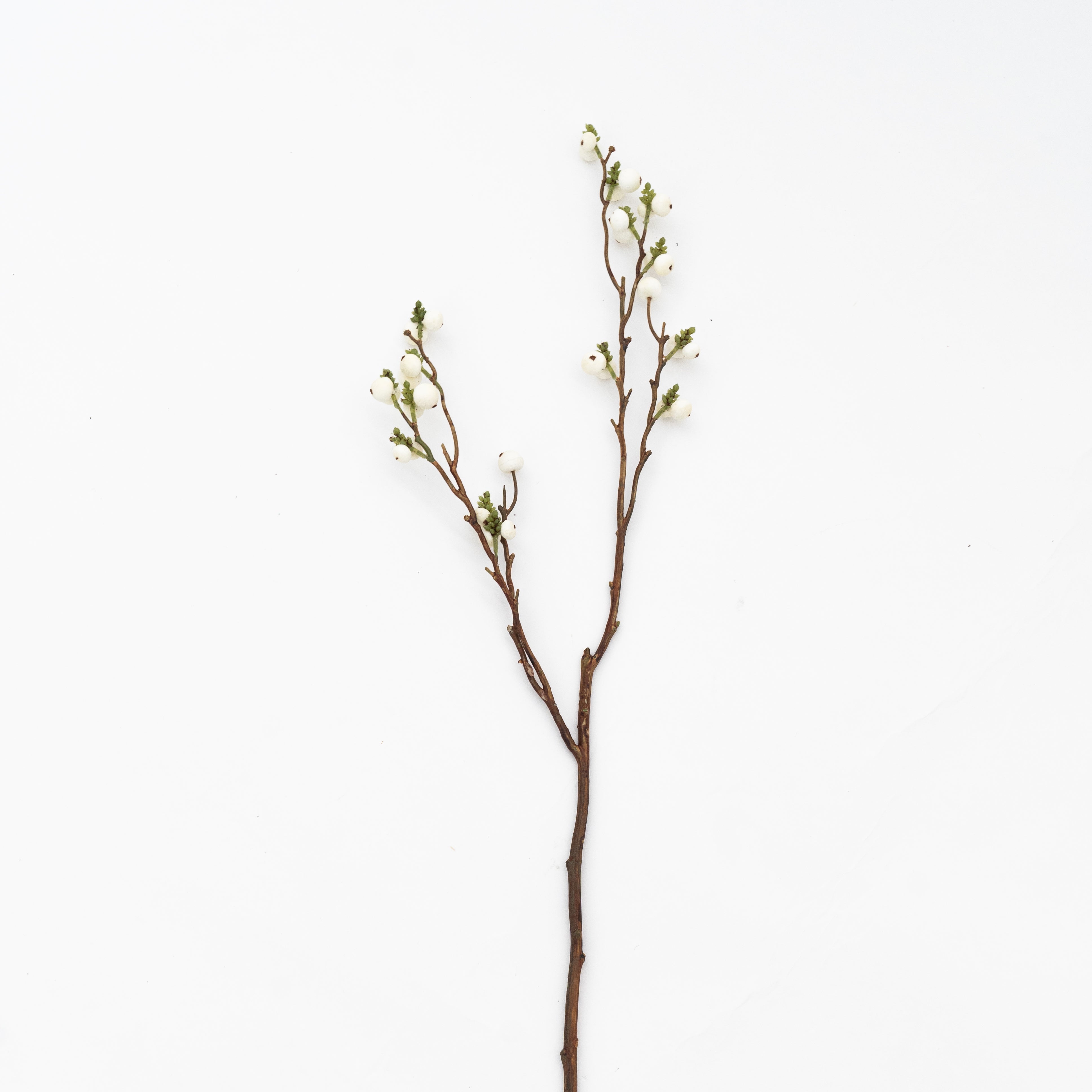 Artificial Plant - Cliantha White - Artificial Flowers - WS Living Furniture Furniture Store in Dubai