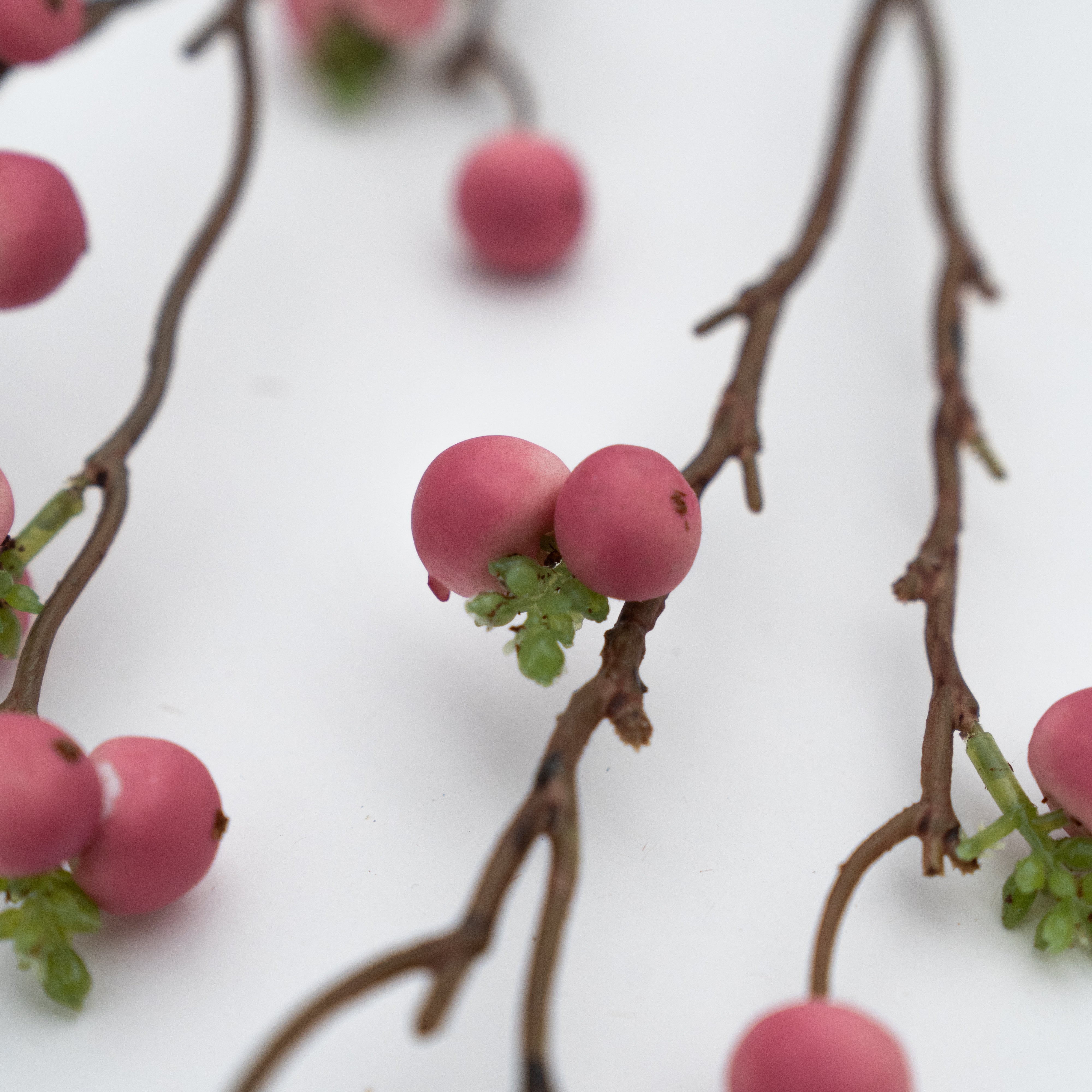 Artificial Plant - Cliantha Pink - Artificial Flowers - WS Living Furniture Furniture Store in Dubai
