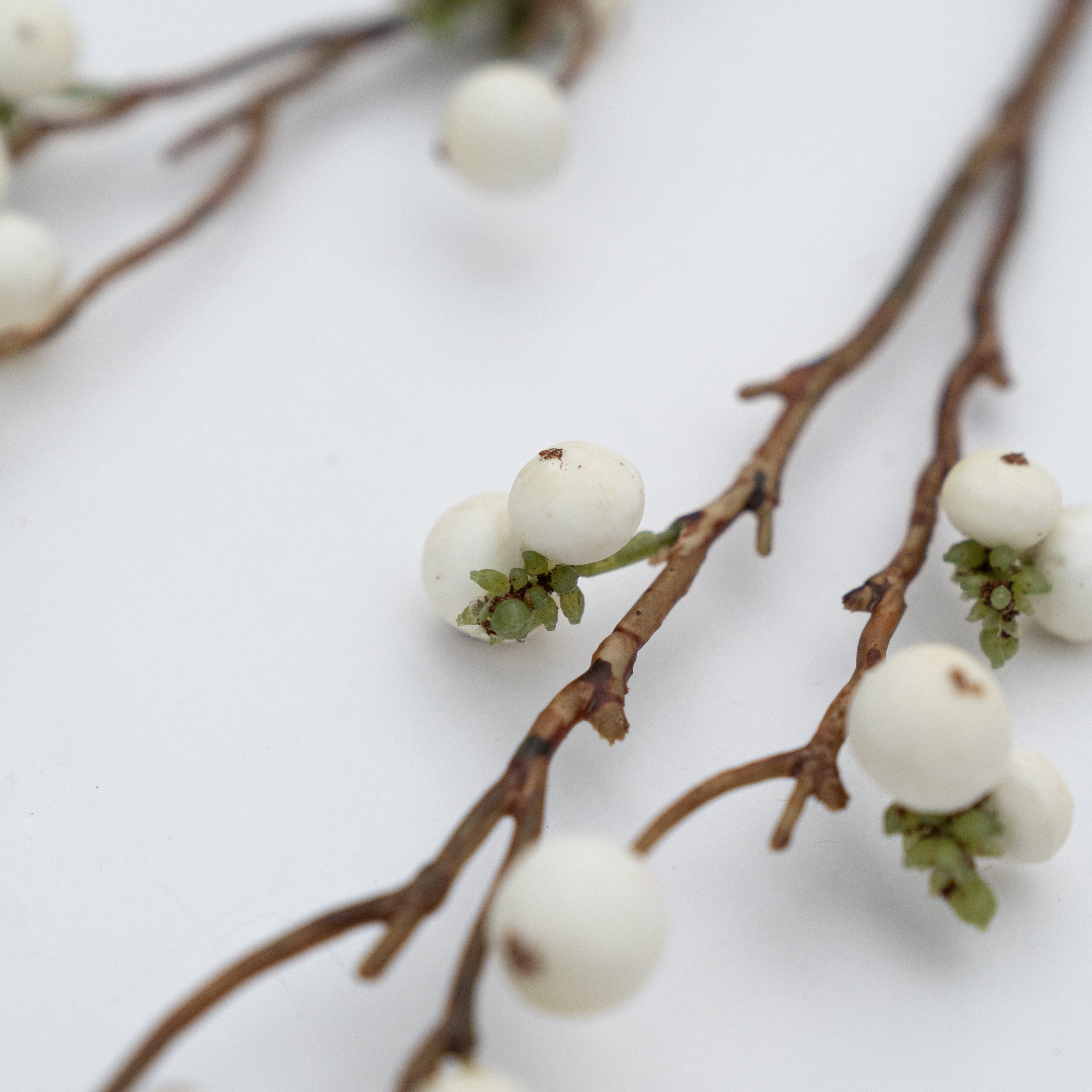 Artificial Plant - Cliantha White - Artificial Flowers - WS Living Furniture Furniture Store in Dubai