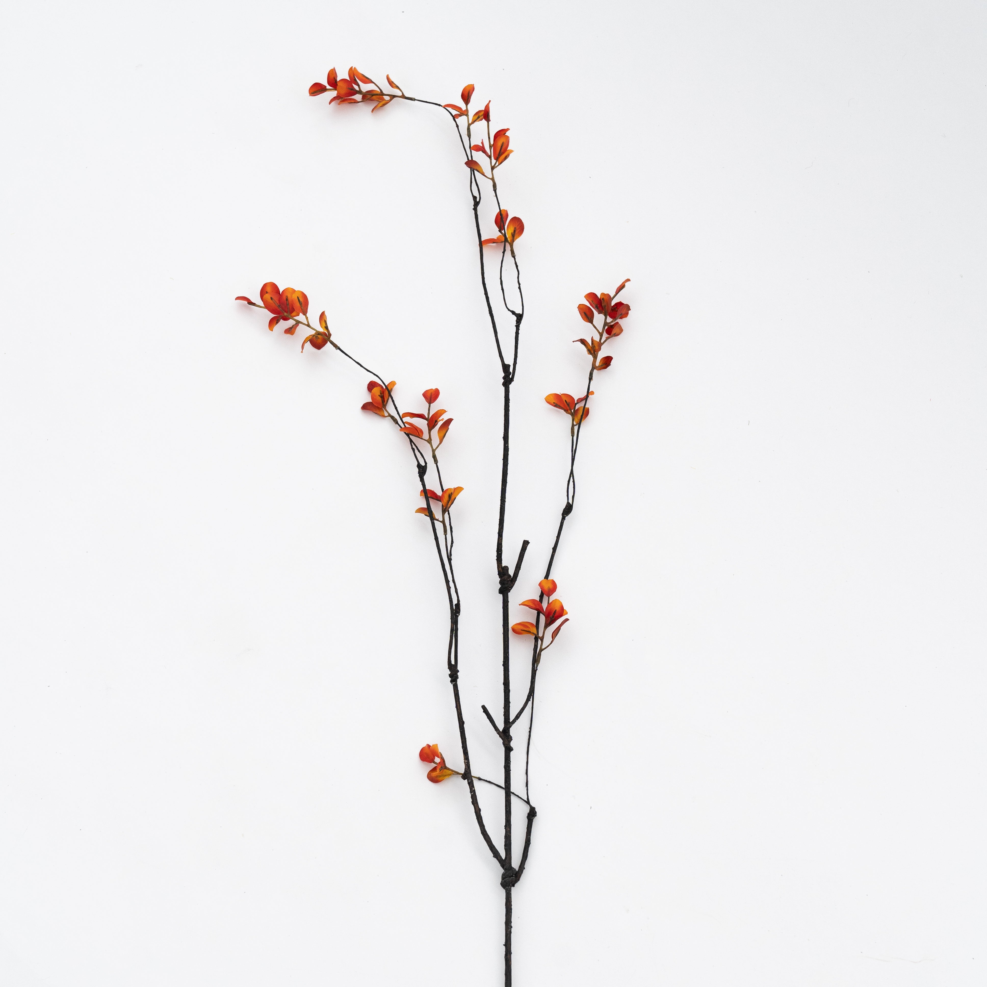 Artificial Plant - Matthiola Orange - Artificial Flowers - WS Living Furniture Furniture Store in Dubai