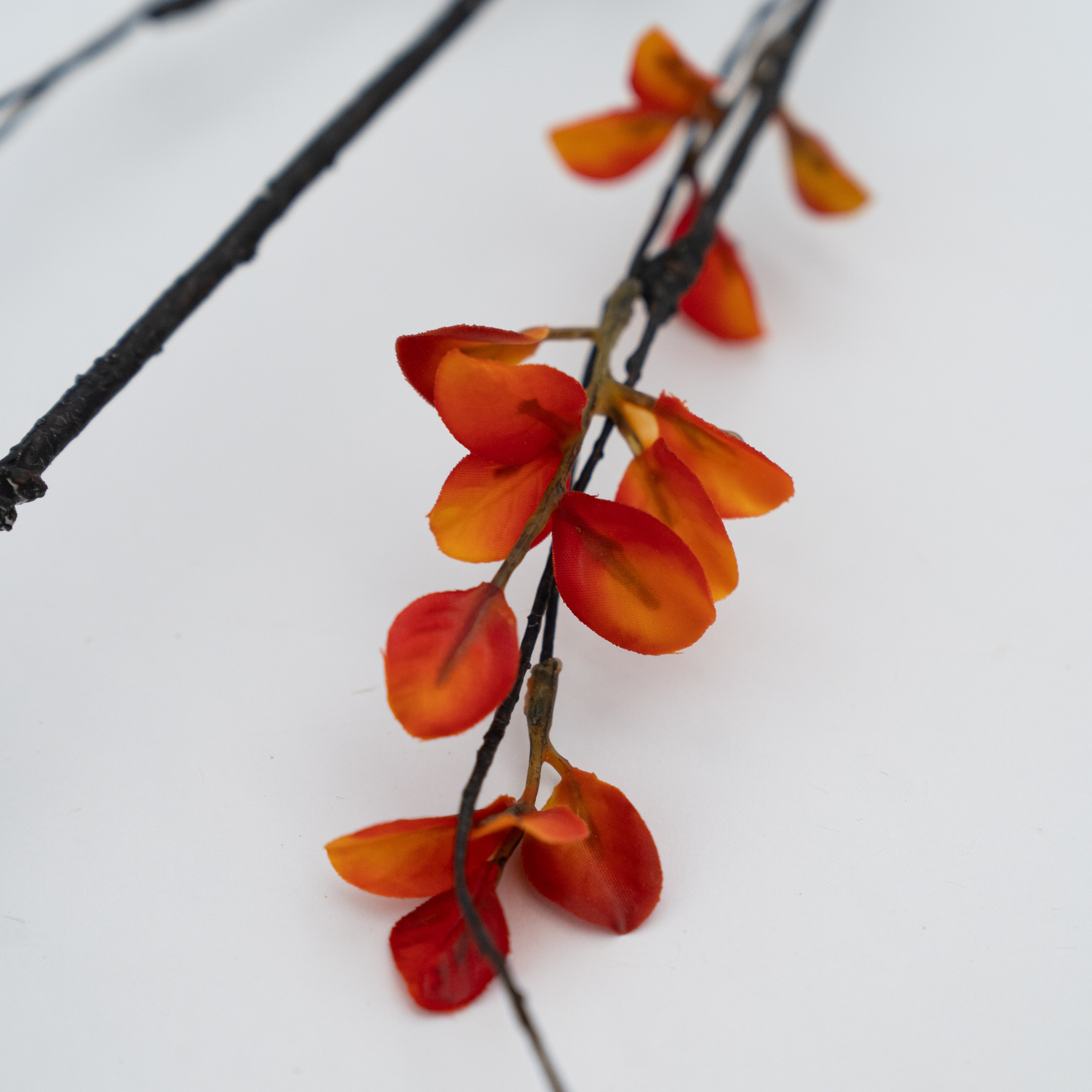 Artificial Plant - Matthiola Orange - Artificial Flowers - WS Living Furniture Furniture Store in Dubai