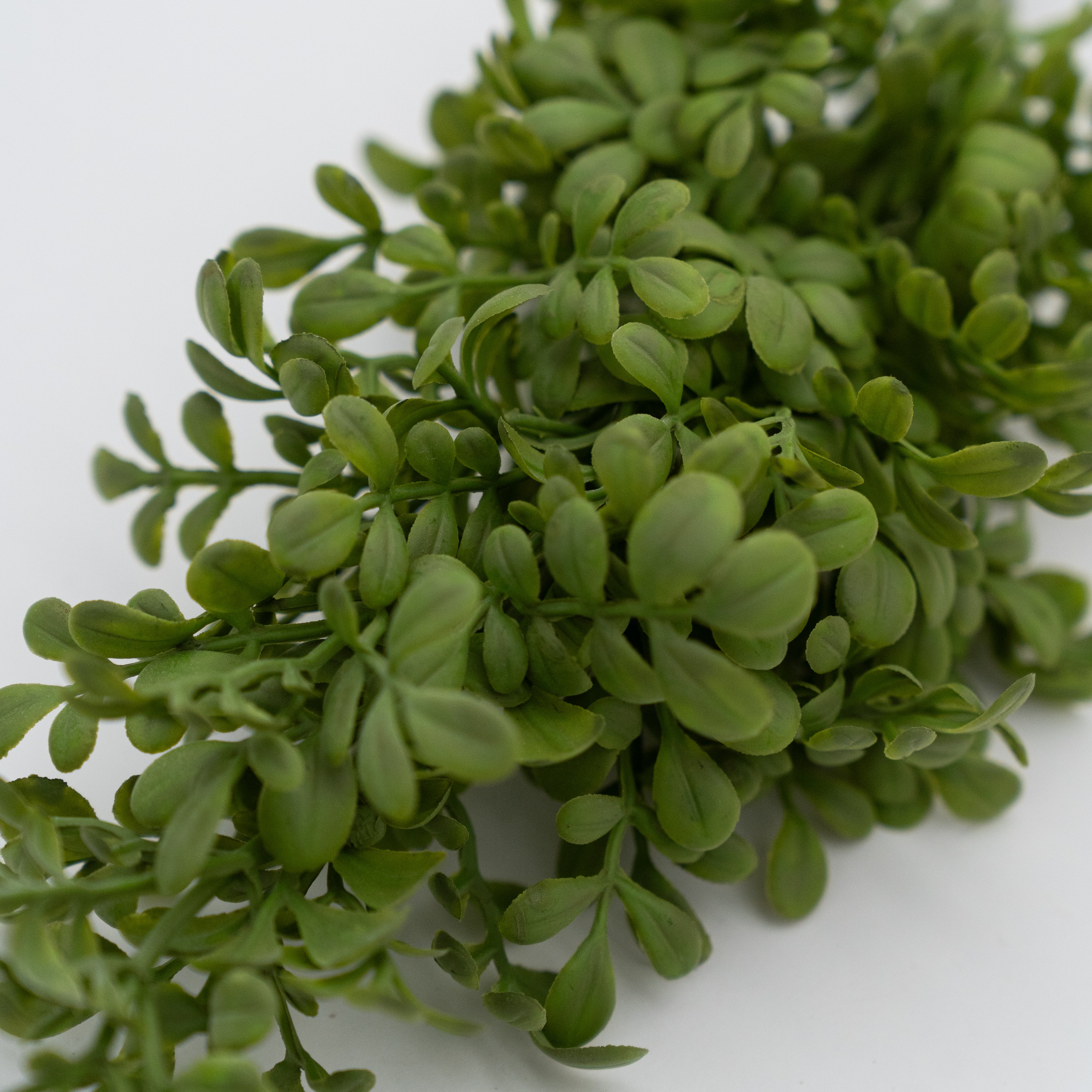 Artificial Plant - Common Rue - Artificial Flowers - WS Living Furniture Furniture Store in Dubai