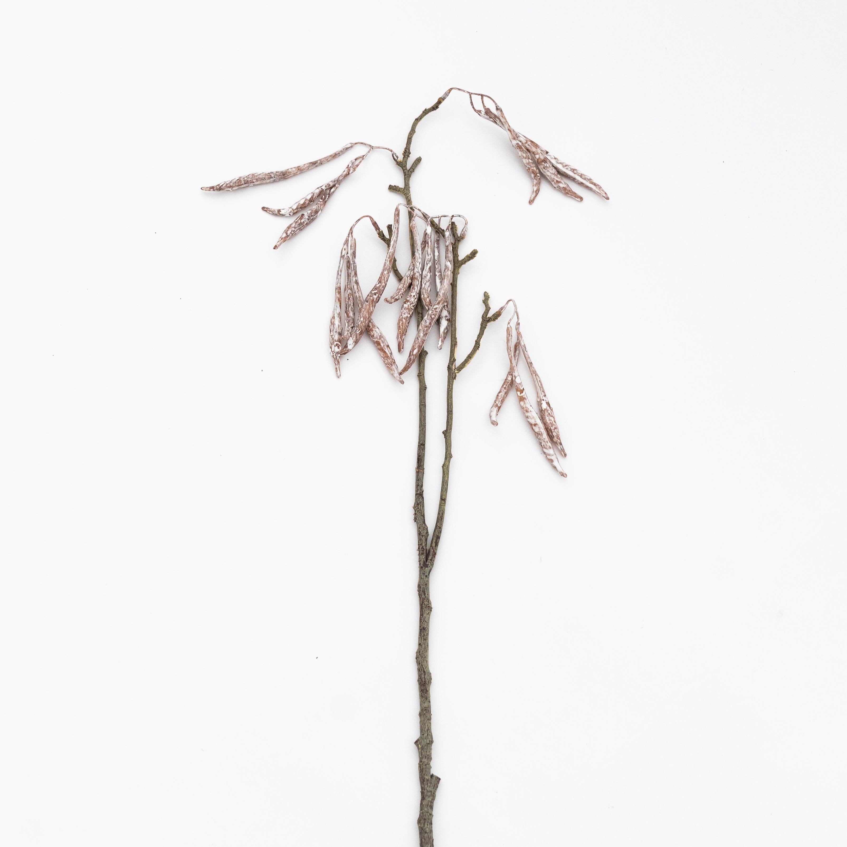Artificial Plant - Carob Tree Stems - Artificial Flowers - WS Living Furniture Furniture Store in Dubai