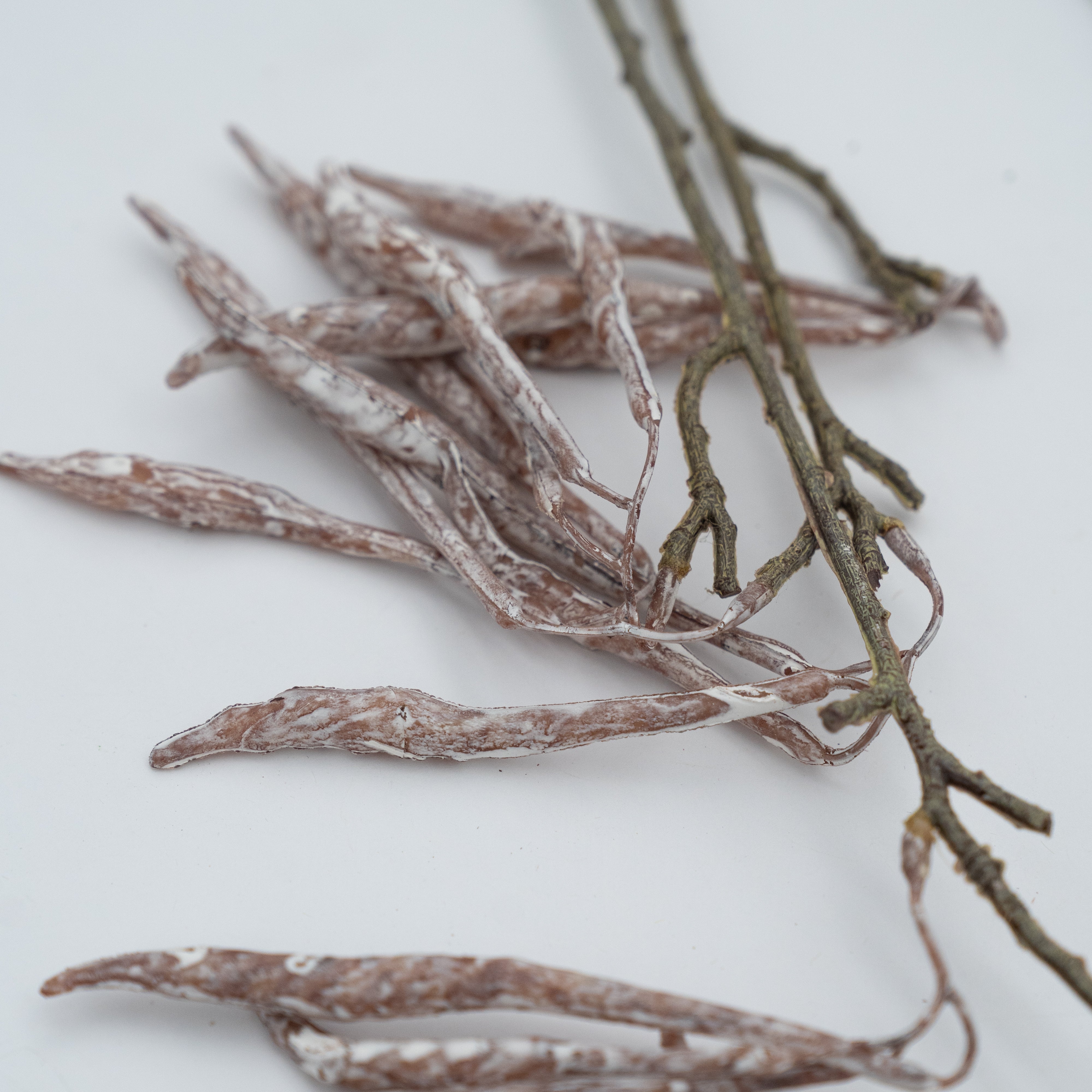 Artificial Plant - Carob Tree Stems - Artificial Flowers - WS Living Furniture Furniture Store in Dubai