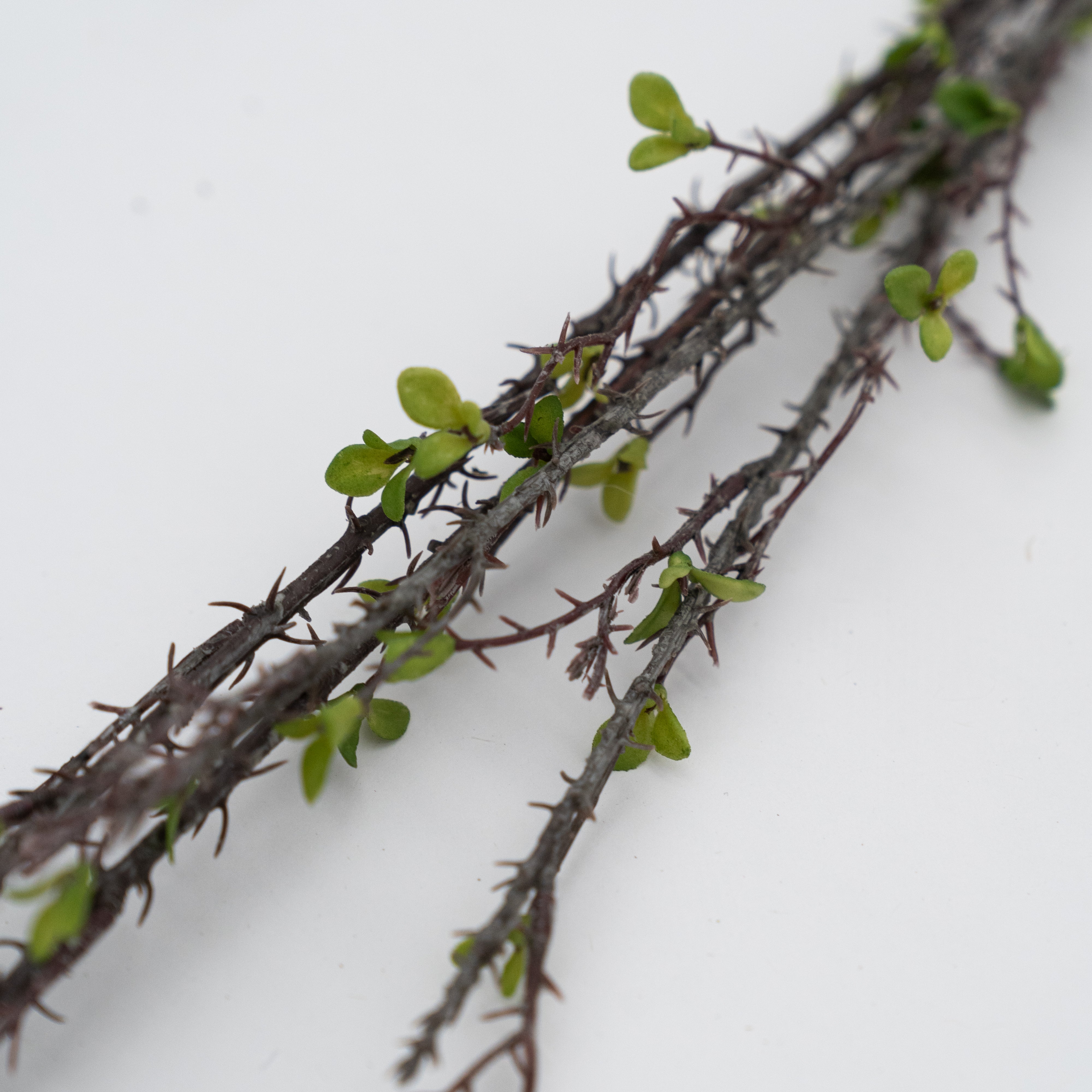 Artificial Plant - Angelonia - Artificial Flowers - WS Living Furniture Furniture Store in Dubai