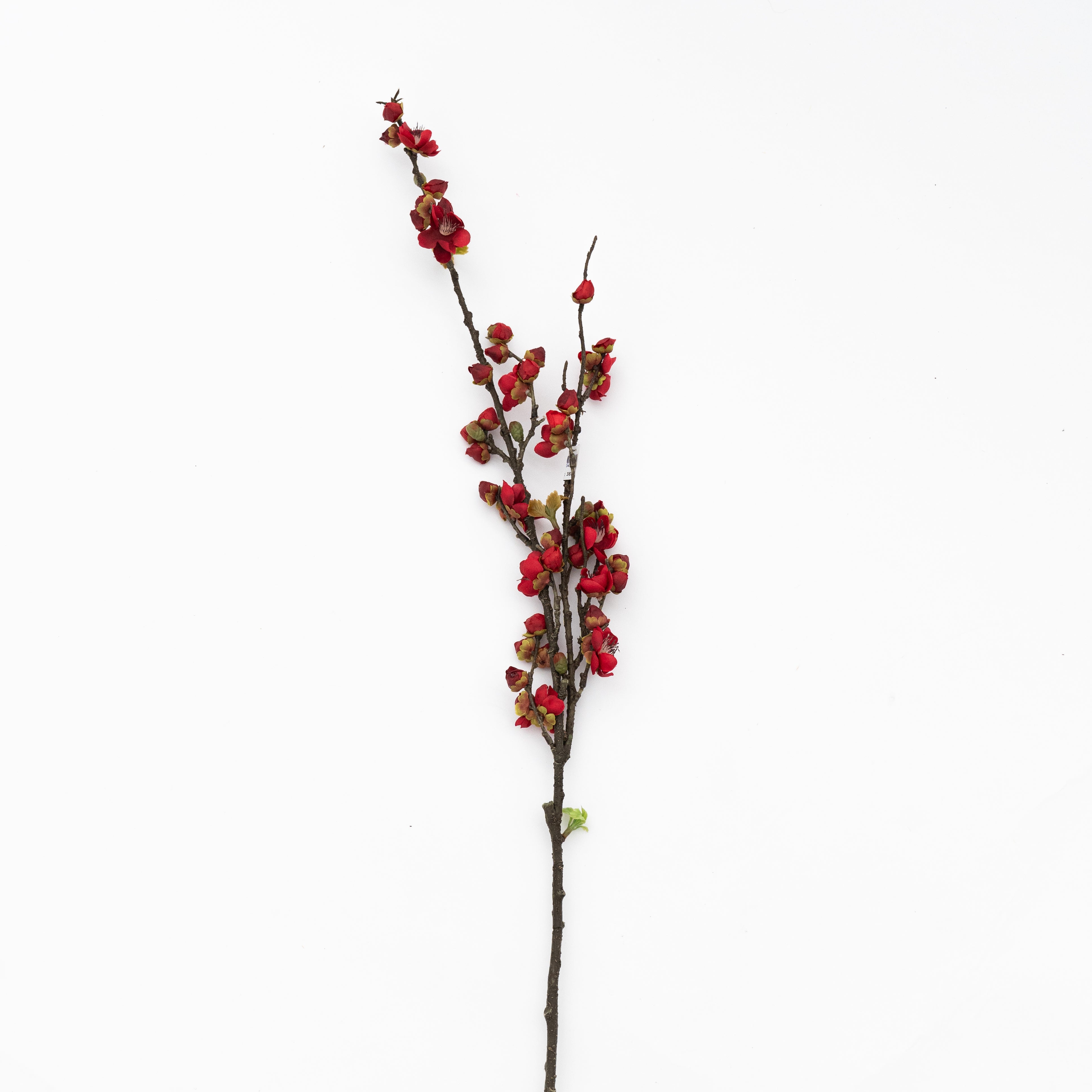 Artificial Plant - Cherry Blossom Red - Artificial Flowers - WS Living Furniture Furniture Store in Dubai