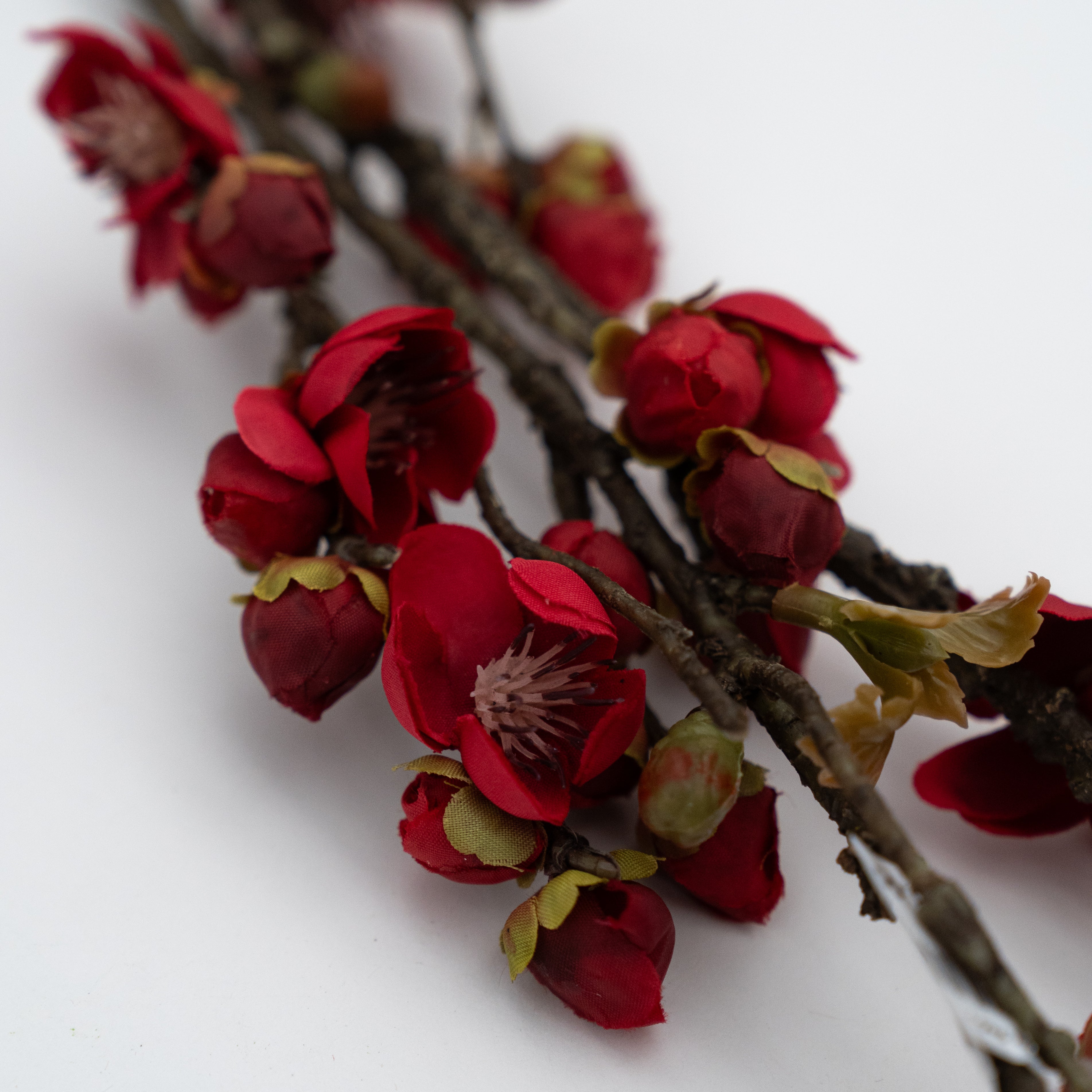 Artificial Plant - Cherry Blossom Red - Artificial Flowers - WS Living Furniture Furniture Store in Dubai