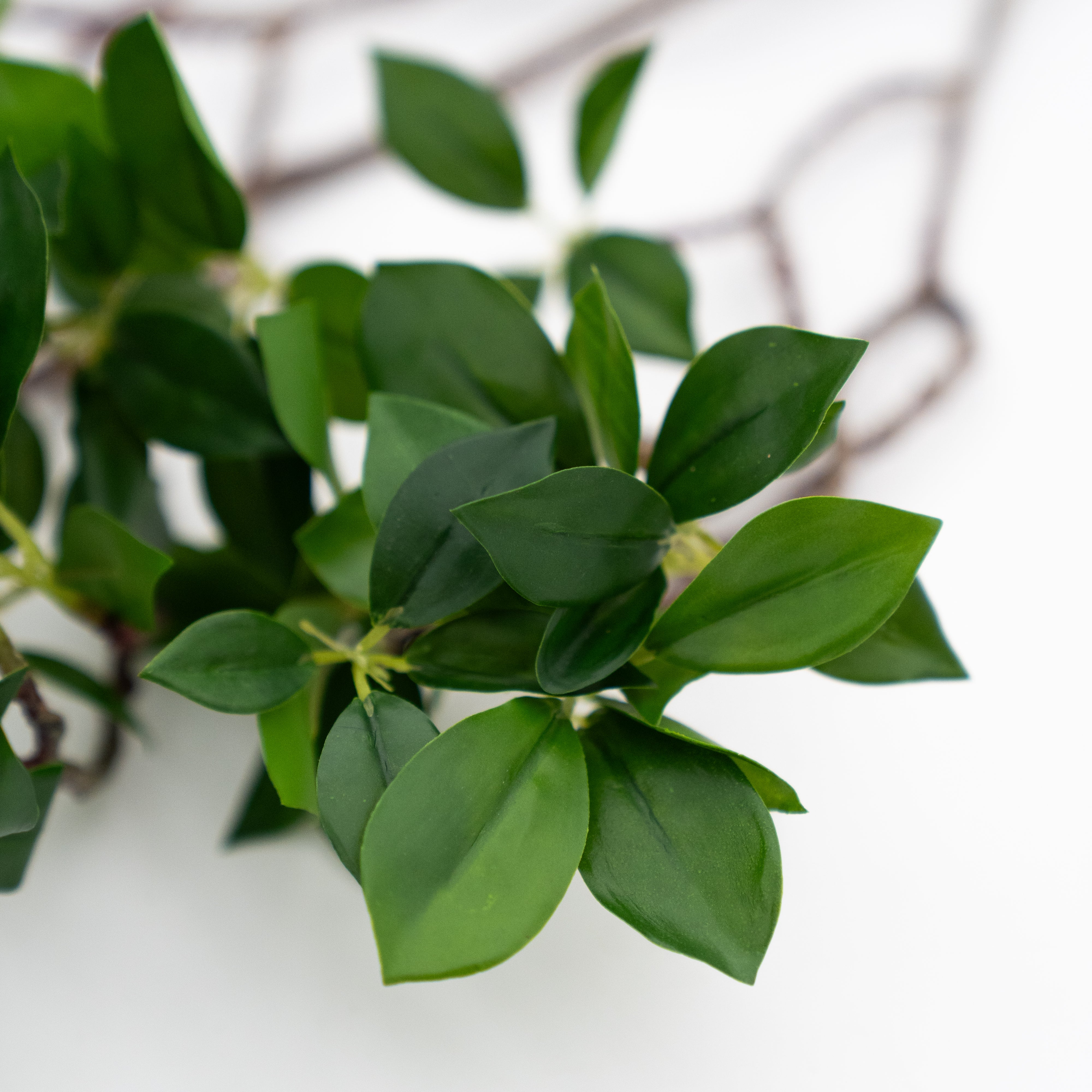 Artificial Plant - Eucalyptus - Artificial Flowers - WS Living Furniture Furniture Store in Dubai