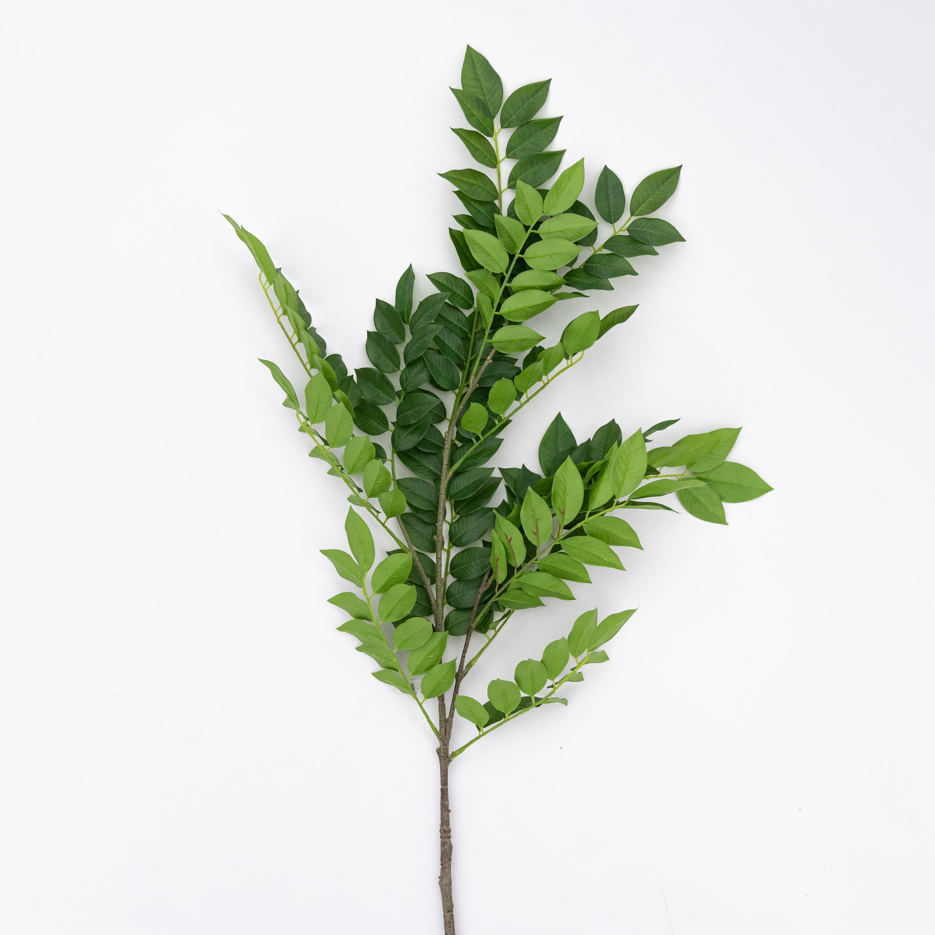 Artificial Plant - Freesia Green - Artificial Flowers - WS Living Furniture Furniture Store in Dubai