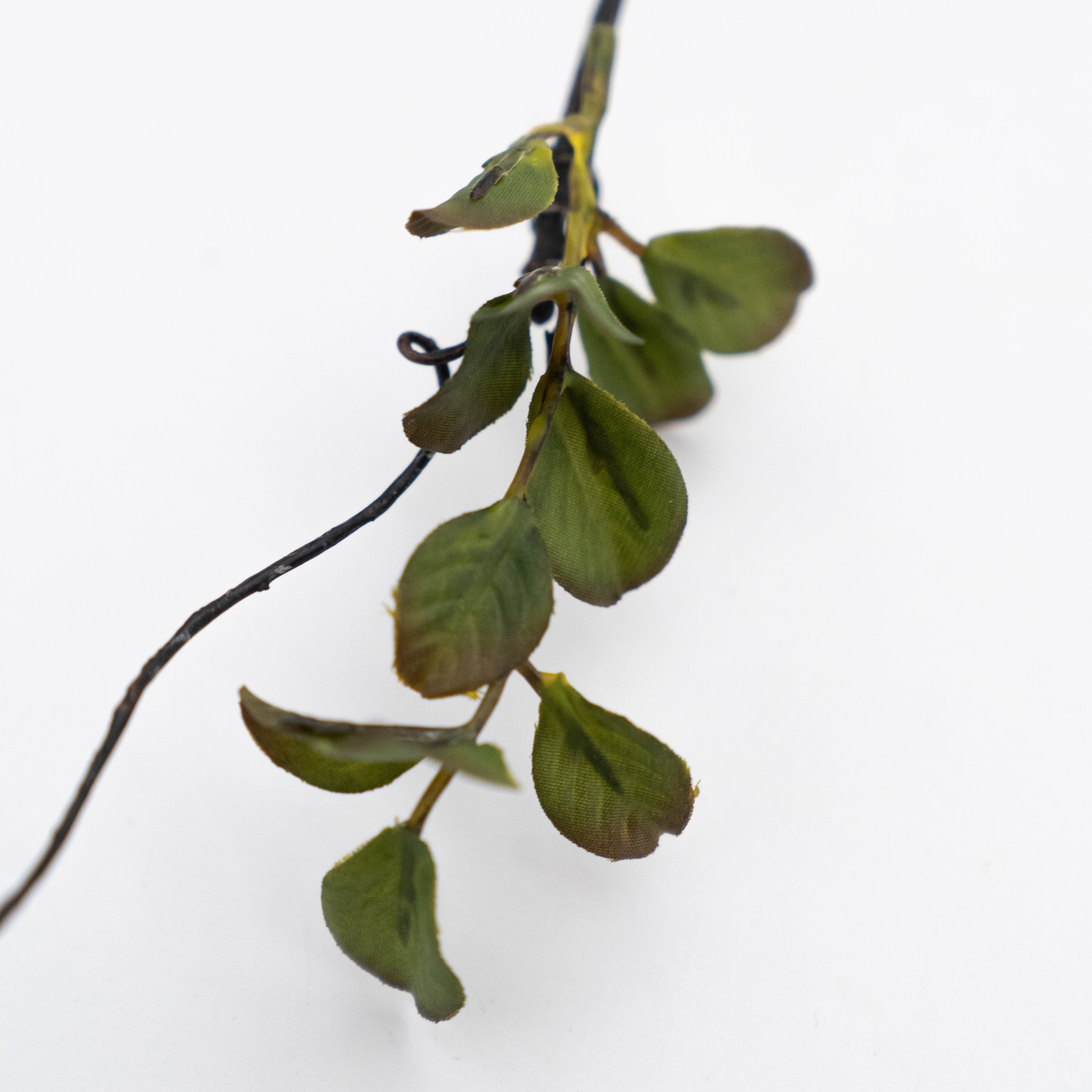 Artificial Plant - Matthiola Green - Artificial Flowers - WS Living Furniture Furniture Store in Dubai