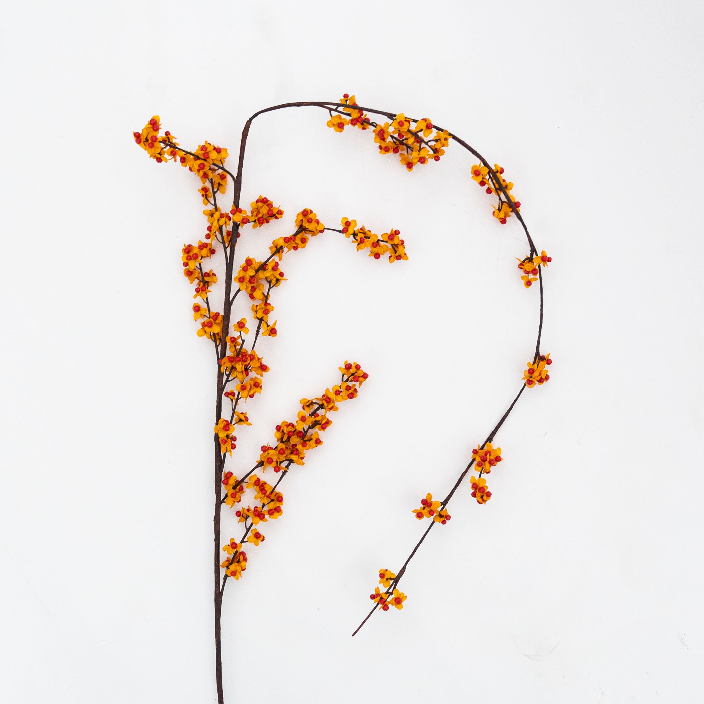 Artificial Plant - American Bittersweet - Artificial Flowers - WS Living Furniture Furniture Store in Dubai