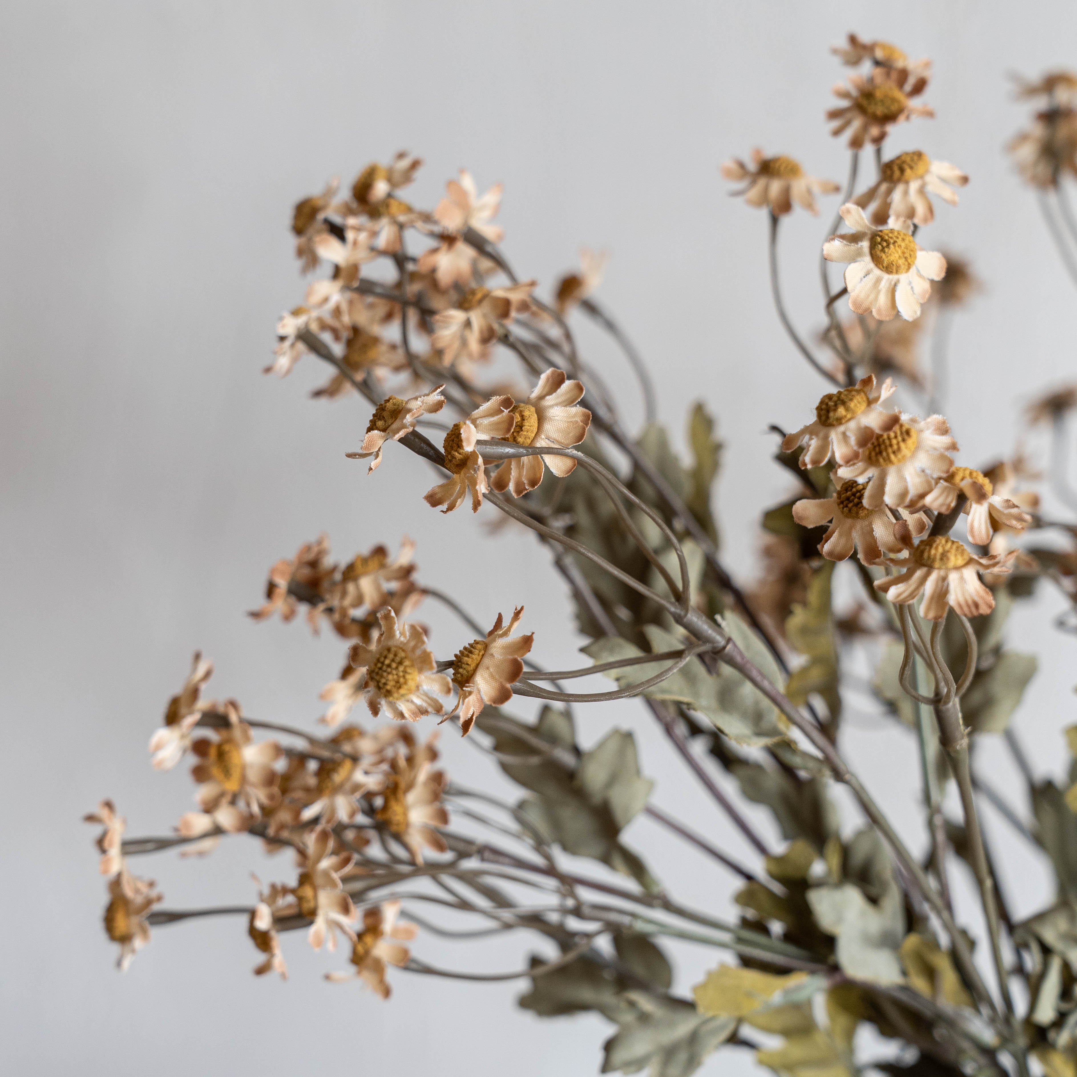 Anzac Artificial Flower (Shallow Coffee)