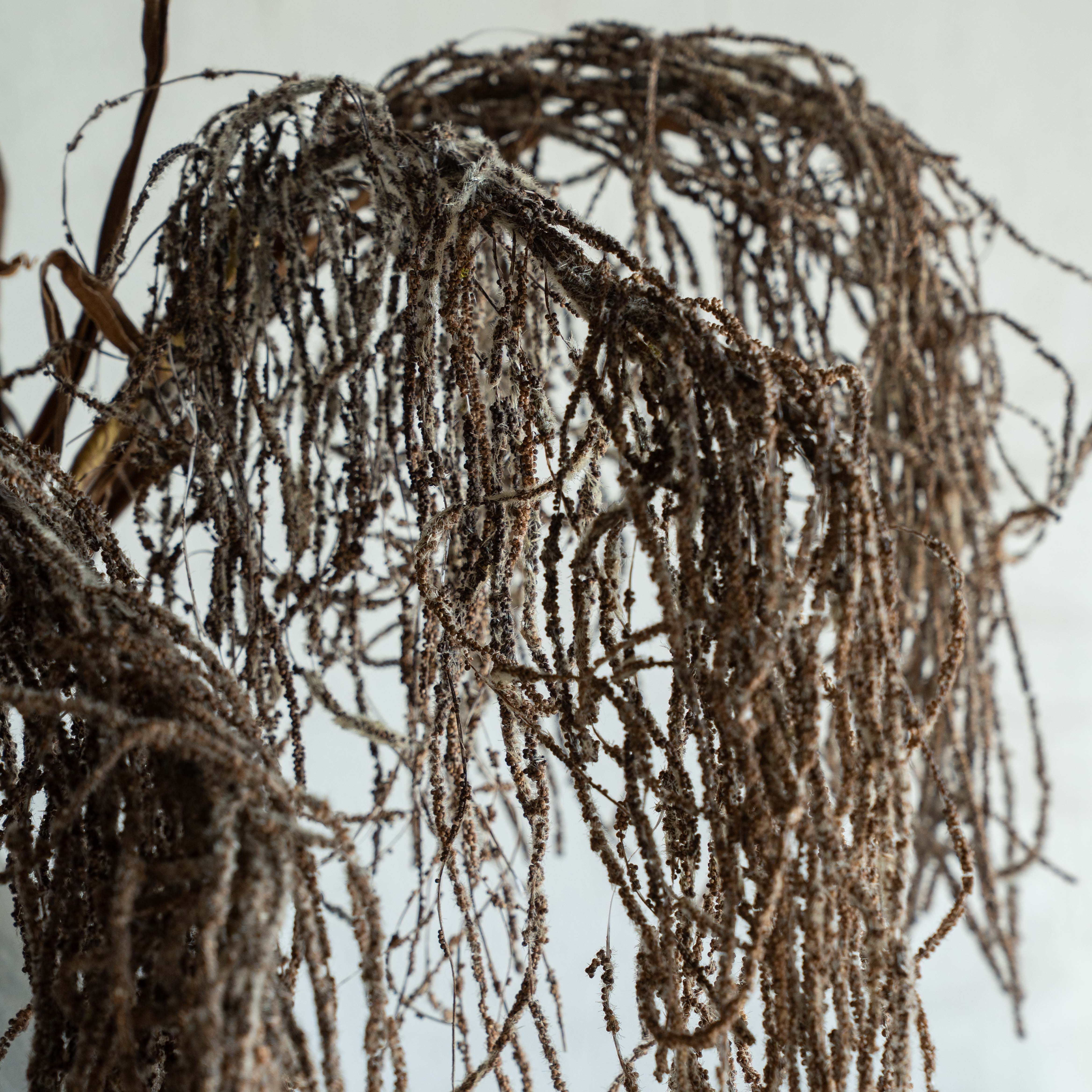 Artificial Flower Arbor (Brown Tail)