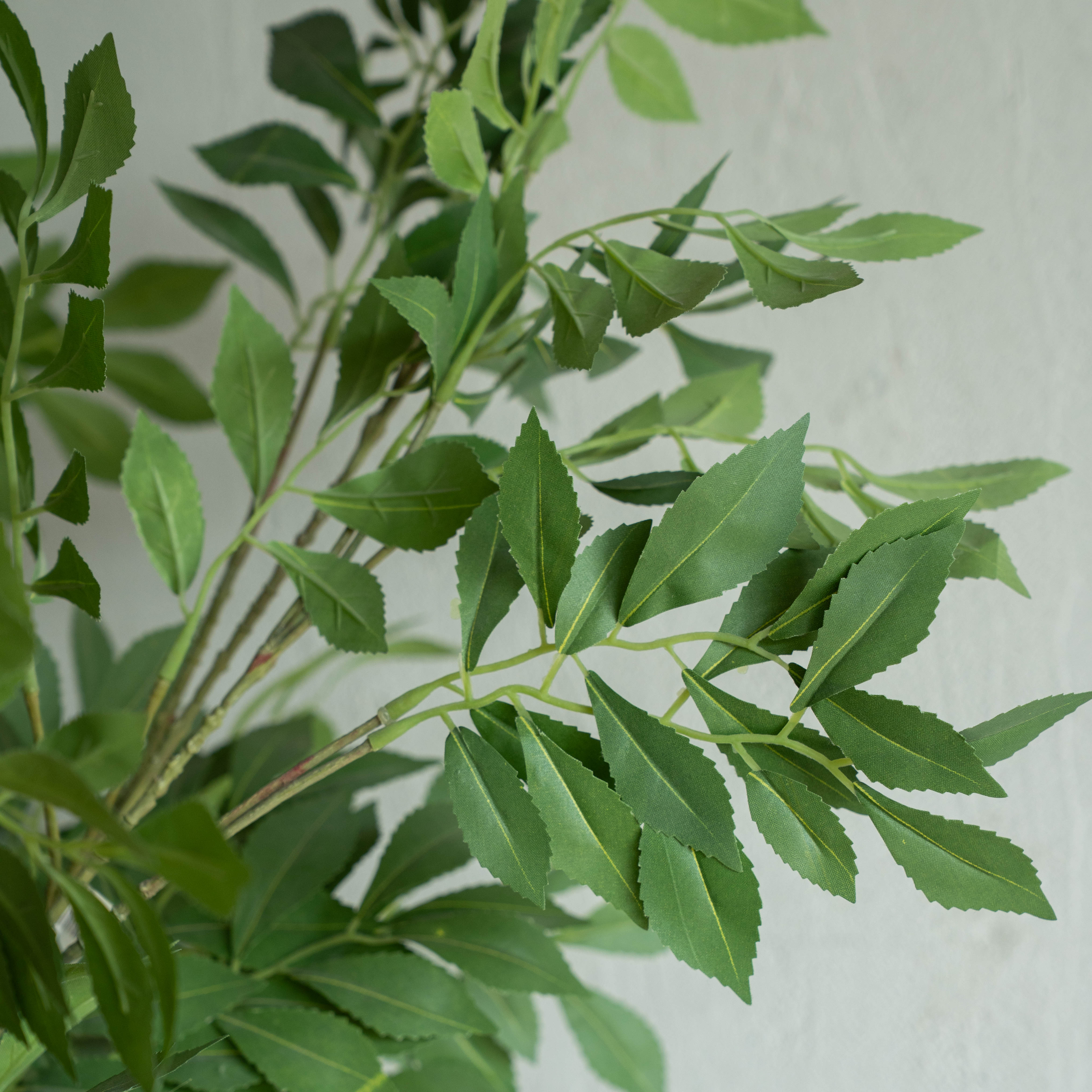 Artificial Plant - Bergenia Green