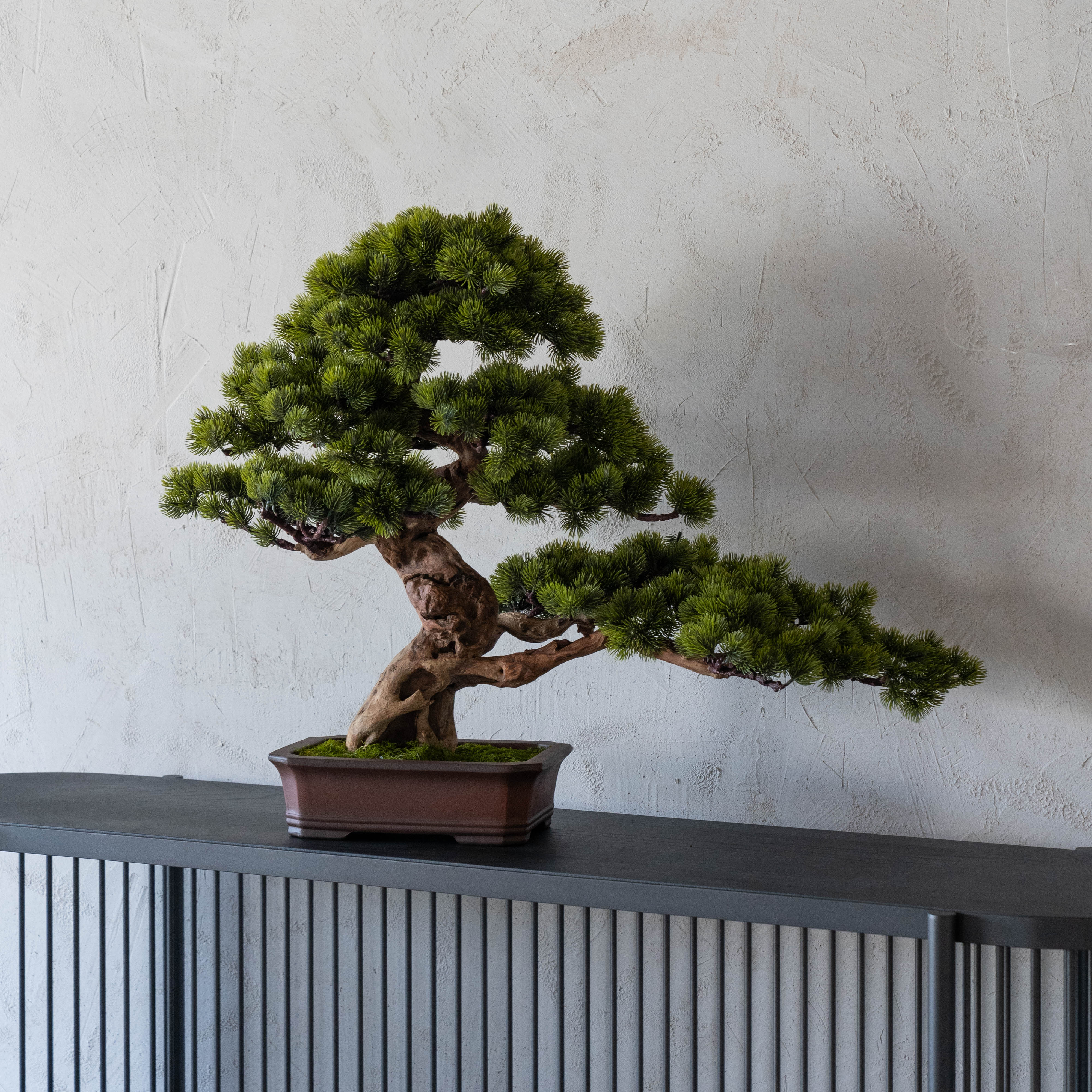 Handcrafted Artificial Bonsai Tree - Bring Nature Indoors - ( Coming Soon ) - Artificial Tree - WS Living Furniture Furniture Store in Dubai