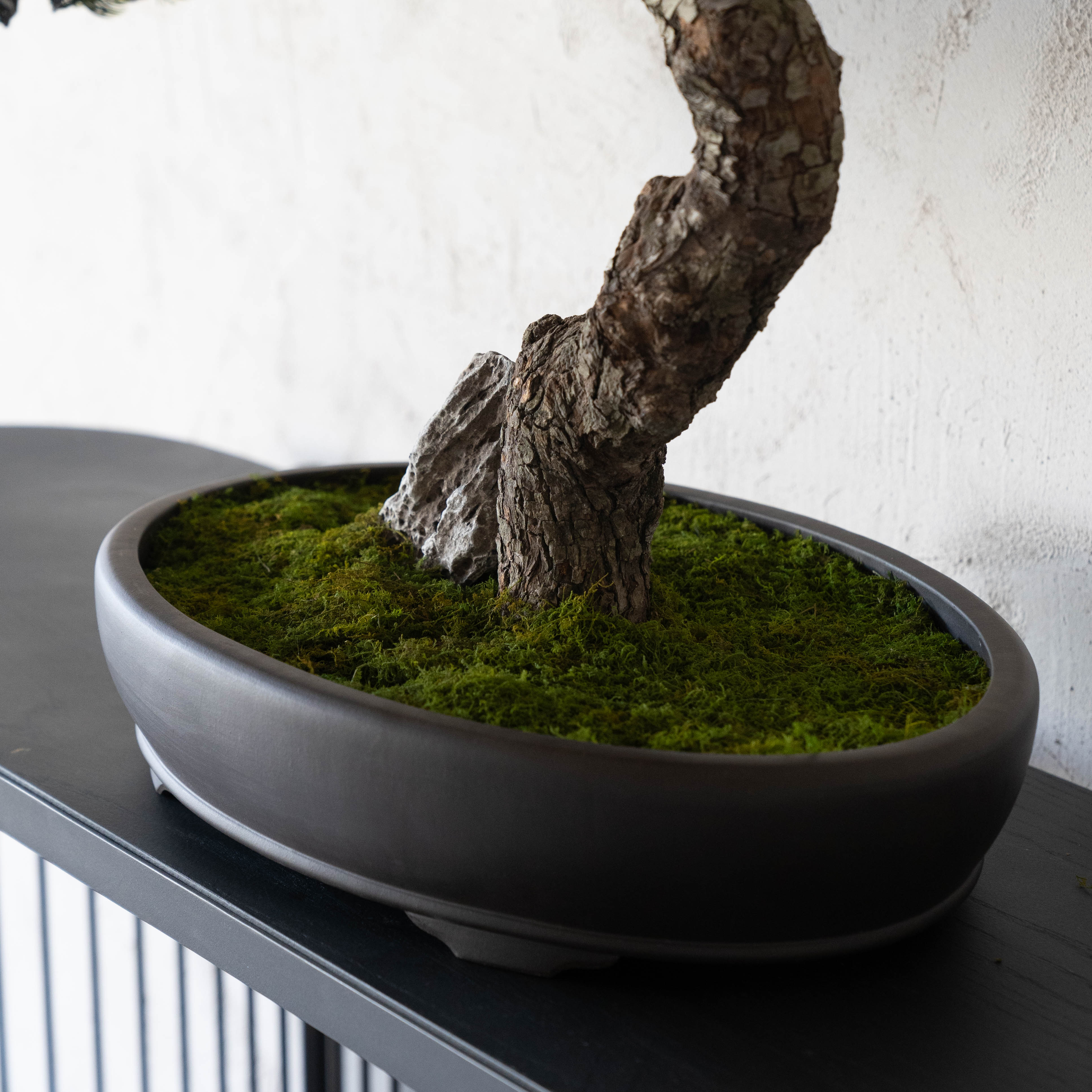 Handcrafted Artificial Bonsai Tree - Bring Nature Indoors - ( Coming Soon ) - Artificial Tree - WS Living Furniture Furniture Store in Dubai