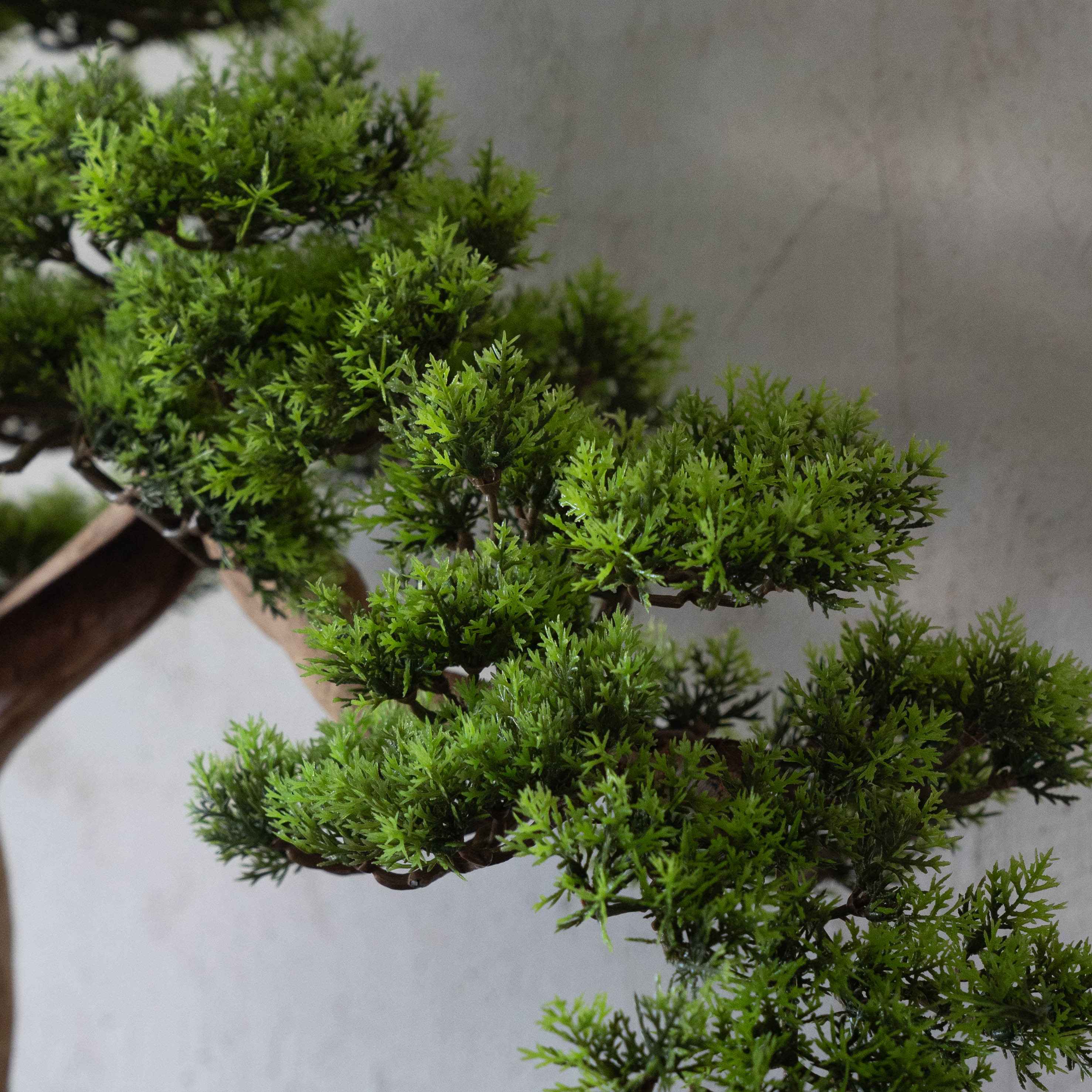 Handcrafted Artificial Bonsai Tree - Bring Nature Indoors - ( Coming Soon ) - Artificial Tree - WS Living Furniture Furniture Store in Dubai