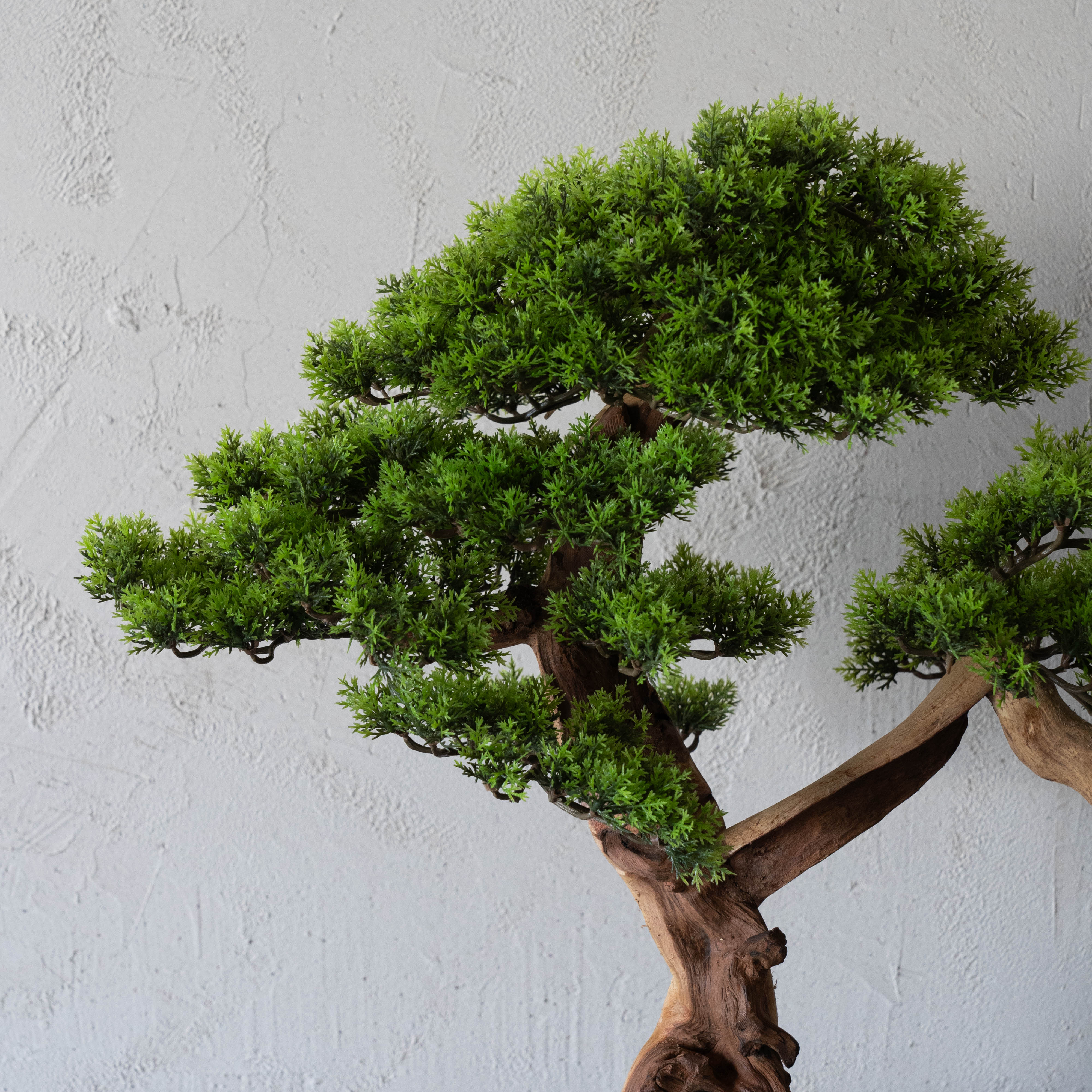 Handcrafted Artificial Bonsai Tree - Bring Nature Indoors - ( Coming Soon ) - Artificial Tree - WS Living Furniture Furniture Store in Dubai