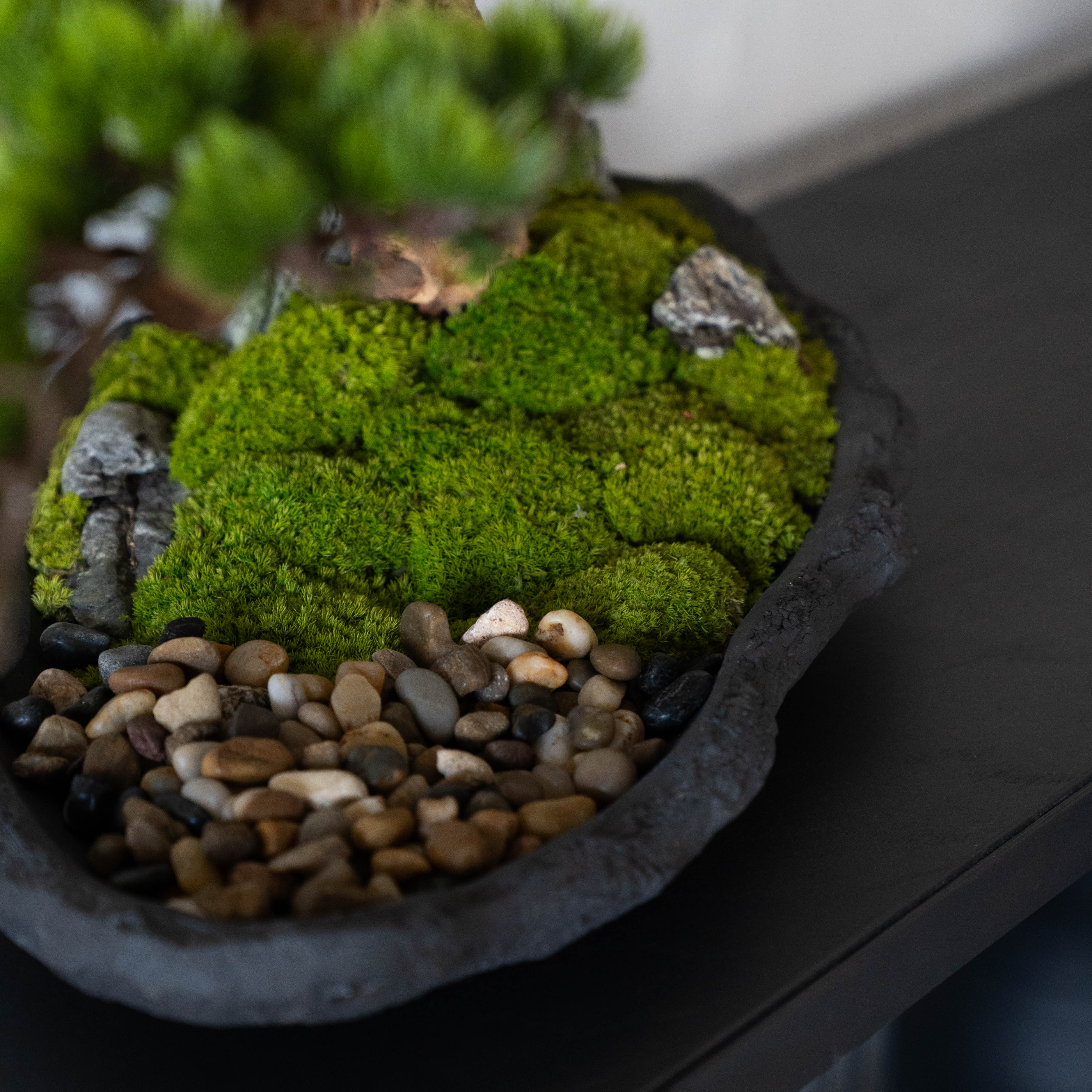 Handcrafted Artificial Bonsai Tree - Bring Nature Indoors - ( Coming Soon ) - Artificial Tree - WS Living Furniture Furniture Store in Dubai