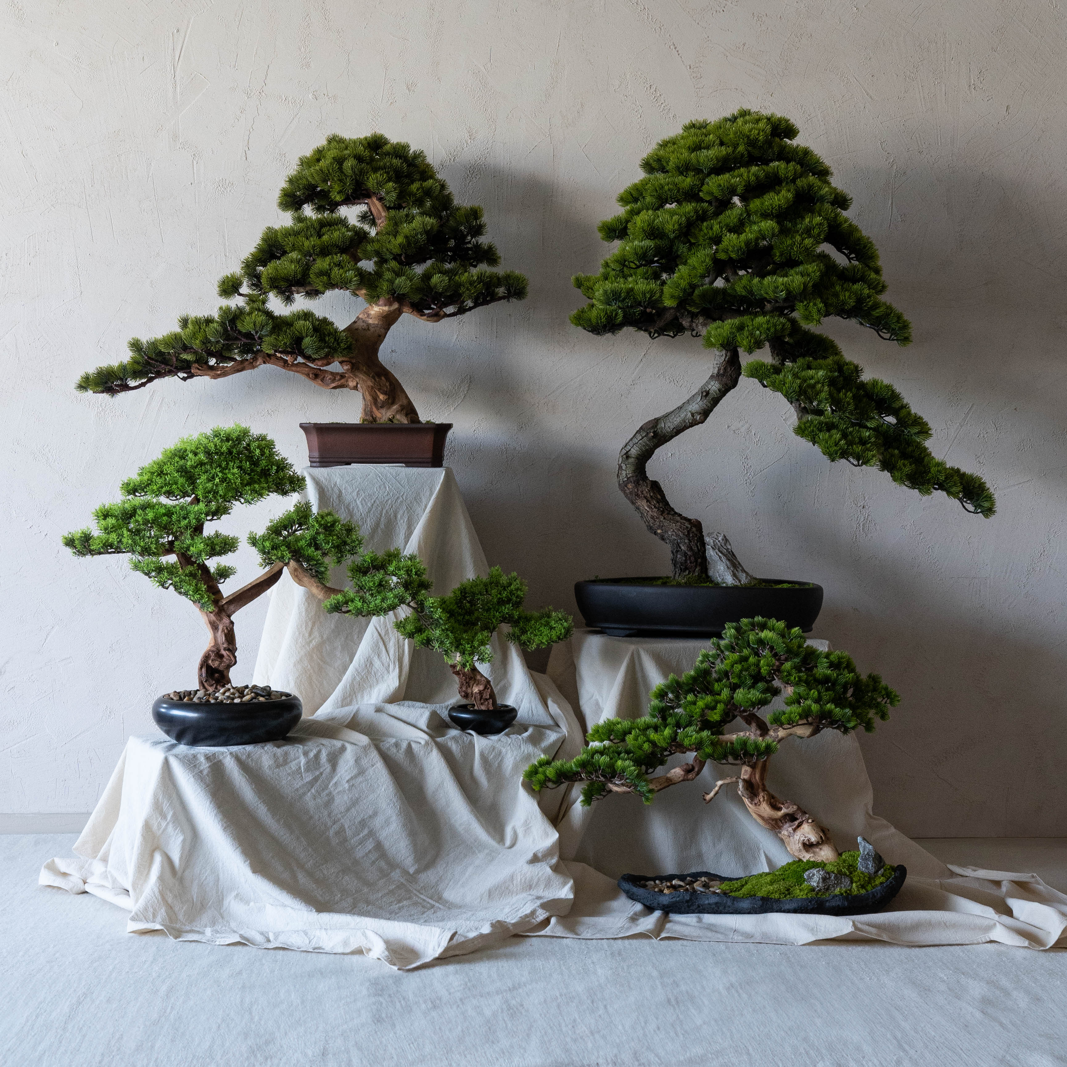 Handcrafted Artificial Bonsai Tree - Bring Nature Indoors - ( Coming Soon ) - Artificial Tree - WS Living Furniture Furniture Store in Dubai