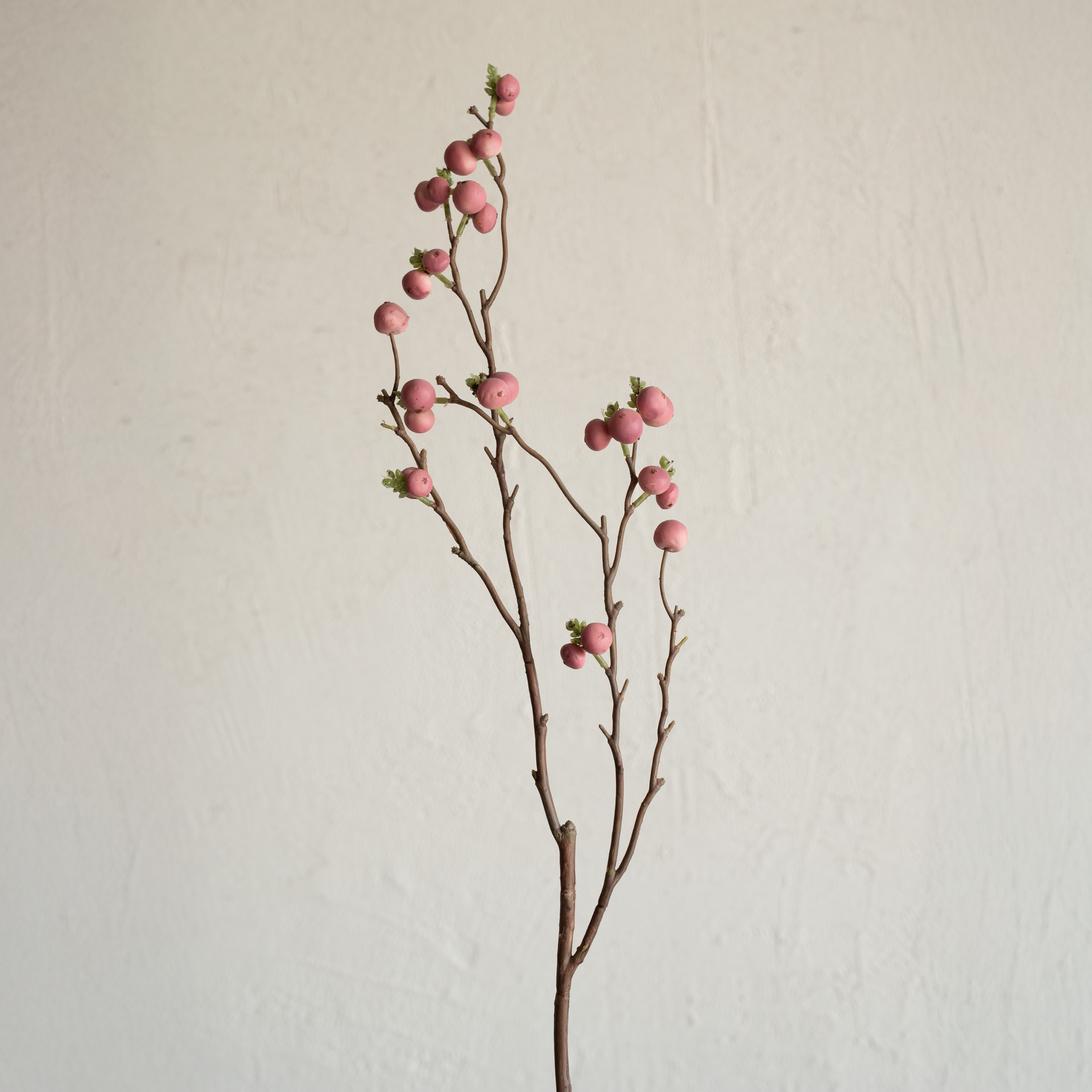 Artificial Plant - Cliantha Pink
