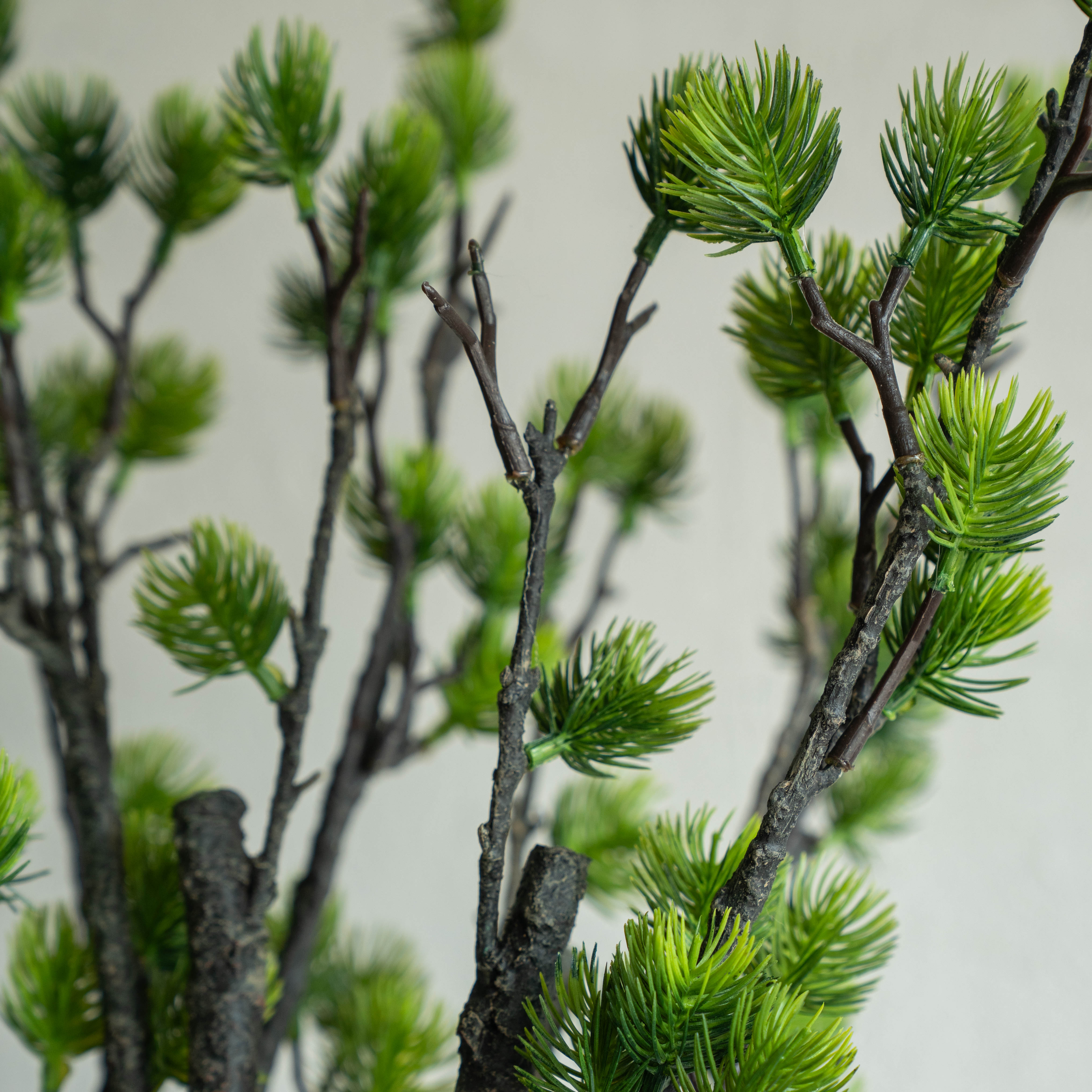 Artificial Plant - Cordyline - Artificial Flowers - WS Living Furniture Furniture Store in Dubai