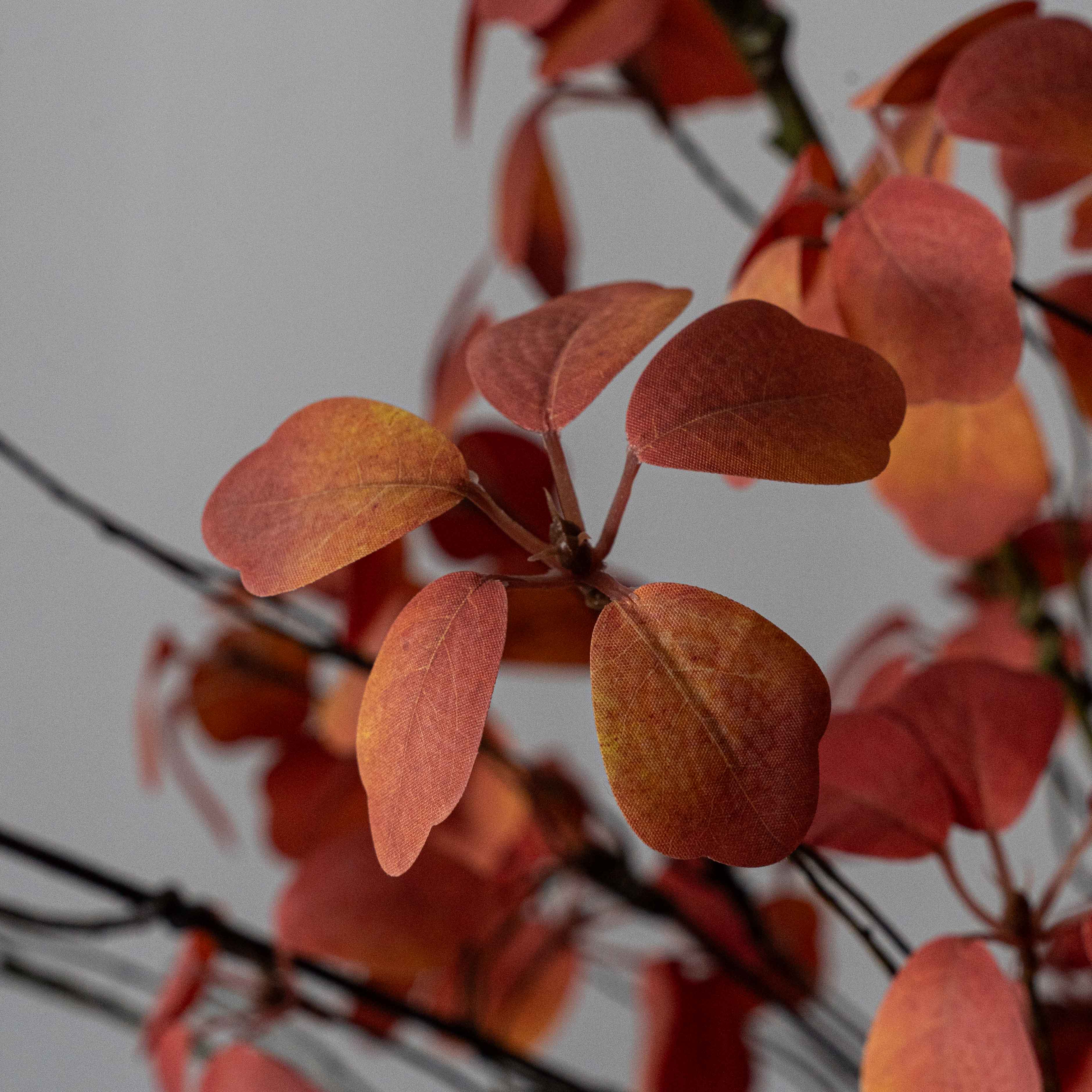 Eternal Petals Decorative Artificial Flower | Plant - Artificial Flowers - WS Living Furniture  Furniture Store in Dubai