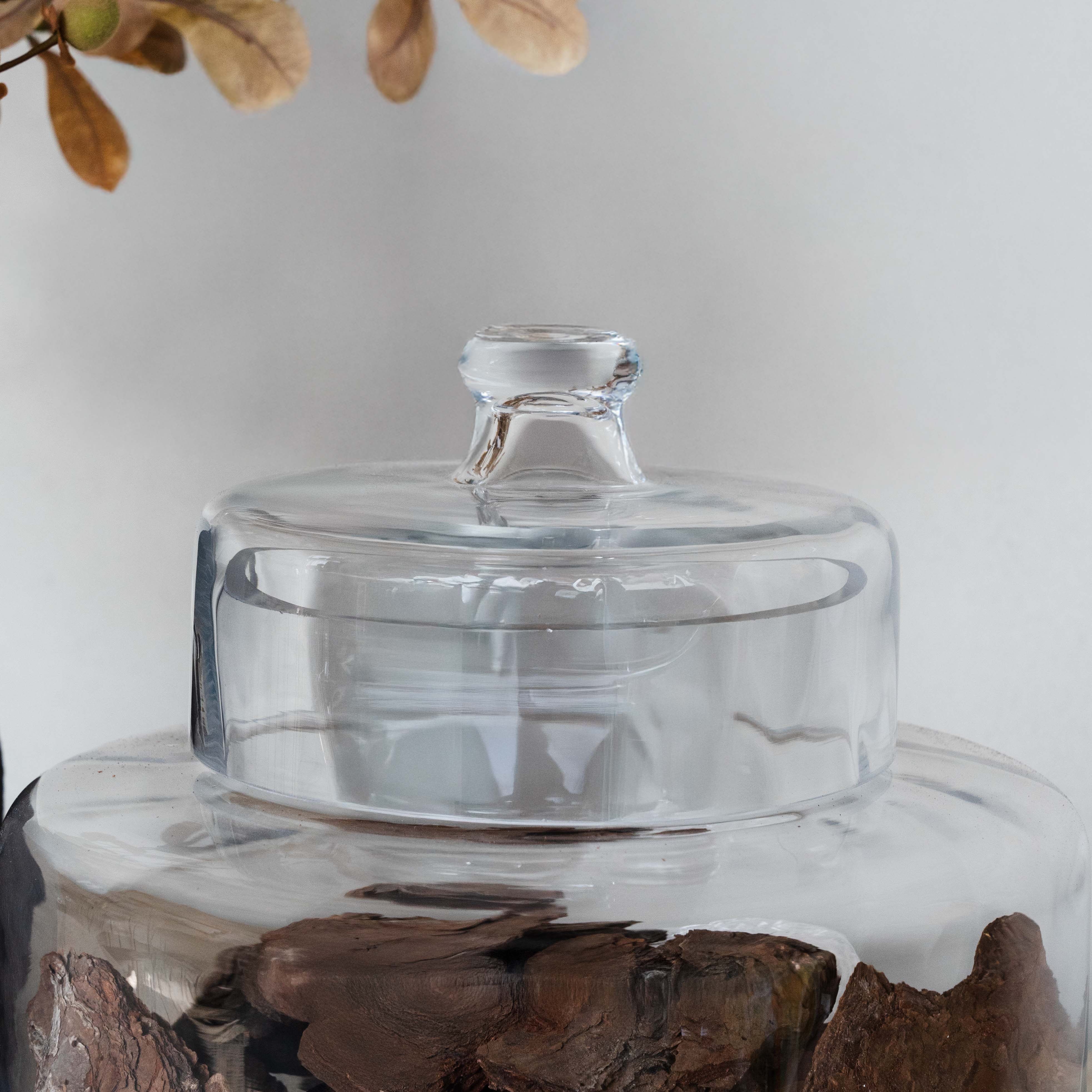 Savannah Decorative Glass Container / Jar With Lid Cover - Decorative Jars - WS Living Furniture Furniture Store in Dubai