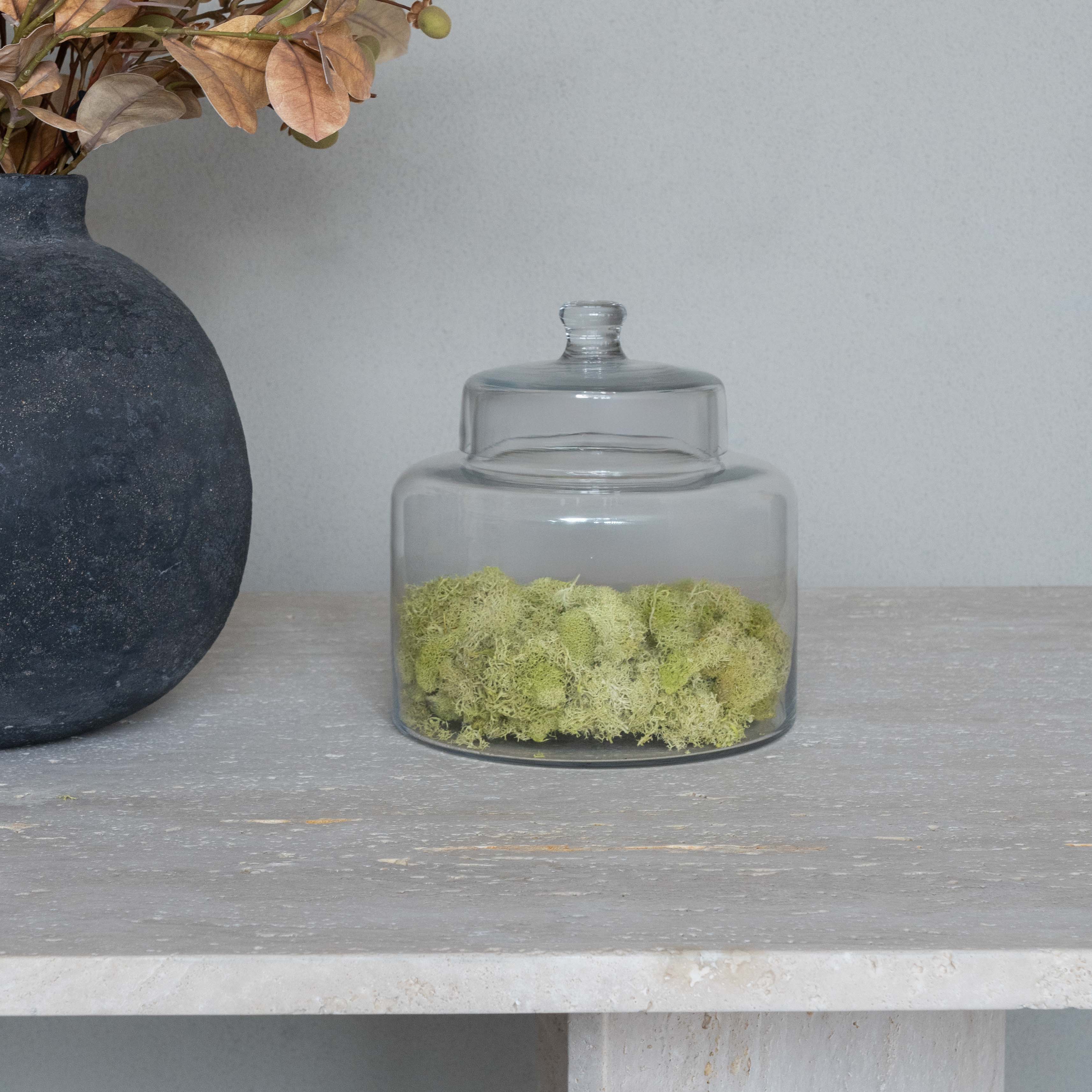 Savannah Decorative Glass Container / Jar With Lid Cover - Decorative Jars - WS Living Furniture Furniture Store in Dubai