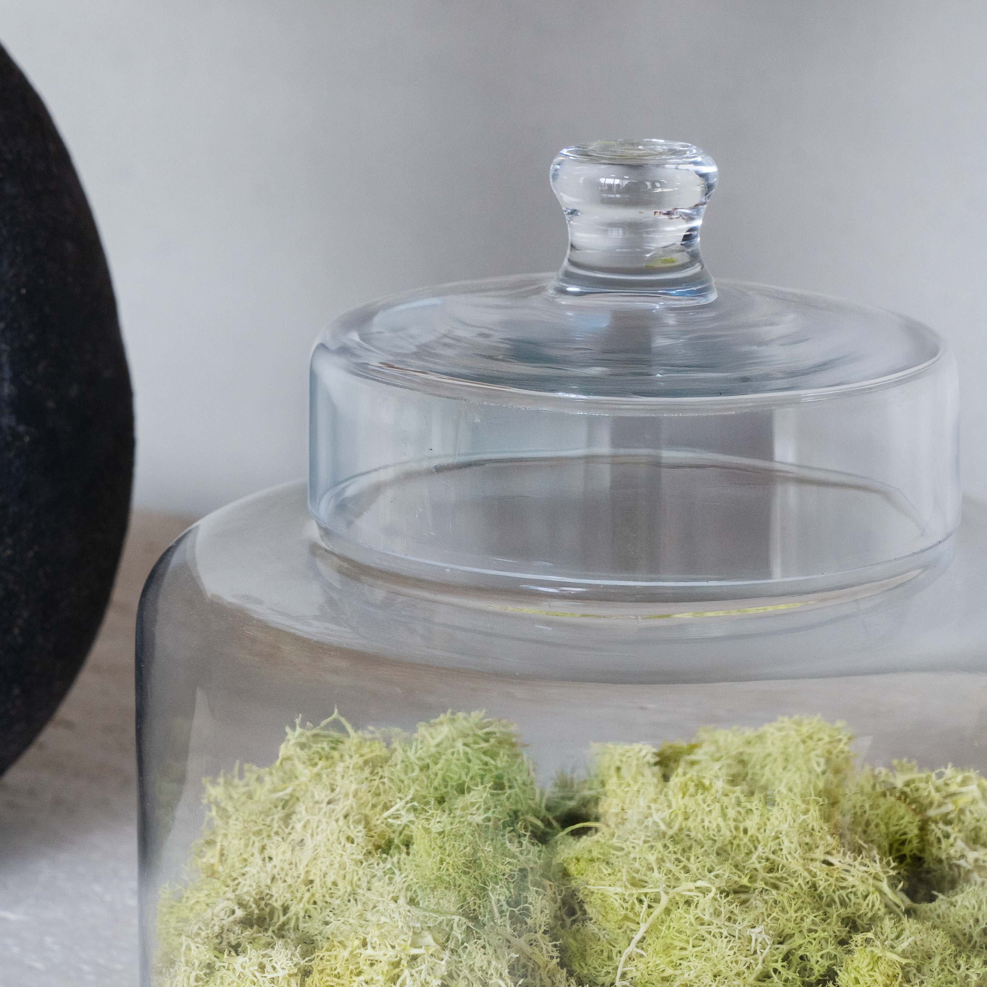 Savannah Decorative Glass Container / Jar With Lid Cover - Decorative Jars - WS Living Furniture Furniture Store in Dubai