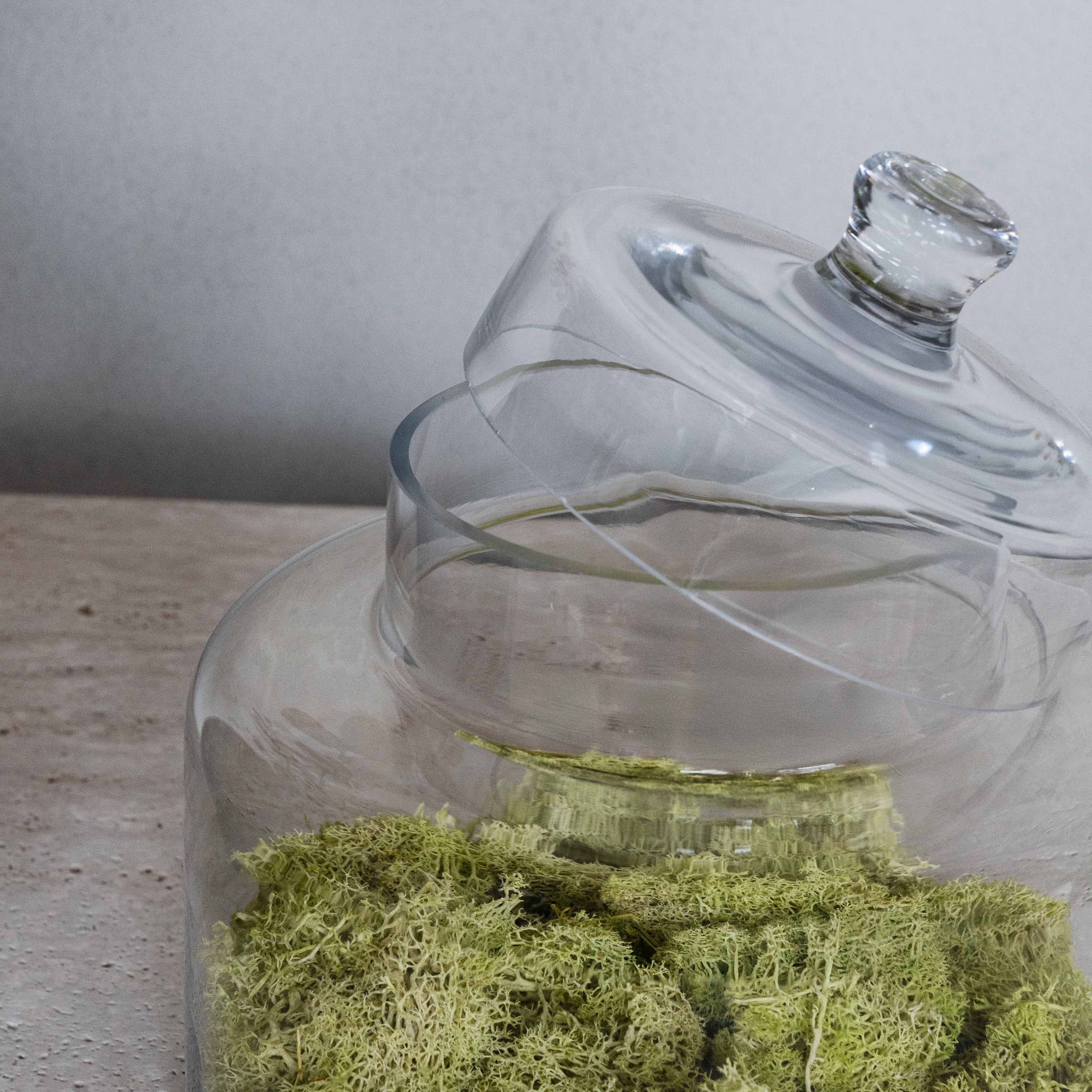 Savannah Decorative Glass Container / Jar With Lid Cover - Decorative Jars - WS Living Furniture Furniture Store in Dubai