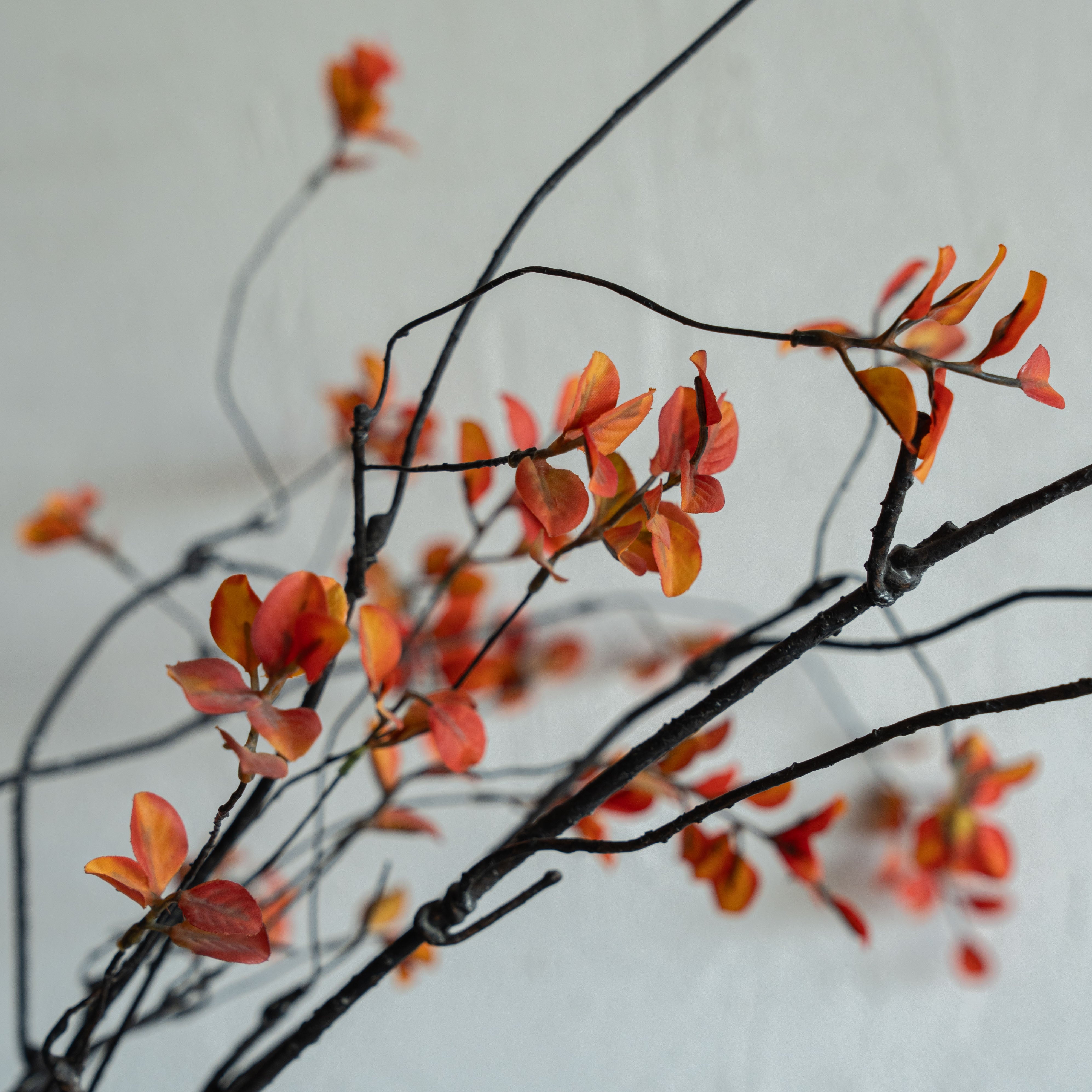 Artificial Plant - Matthiola Orange