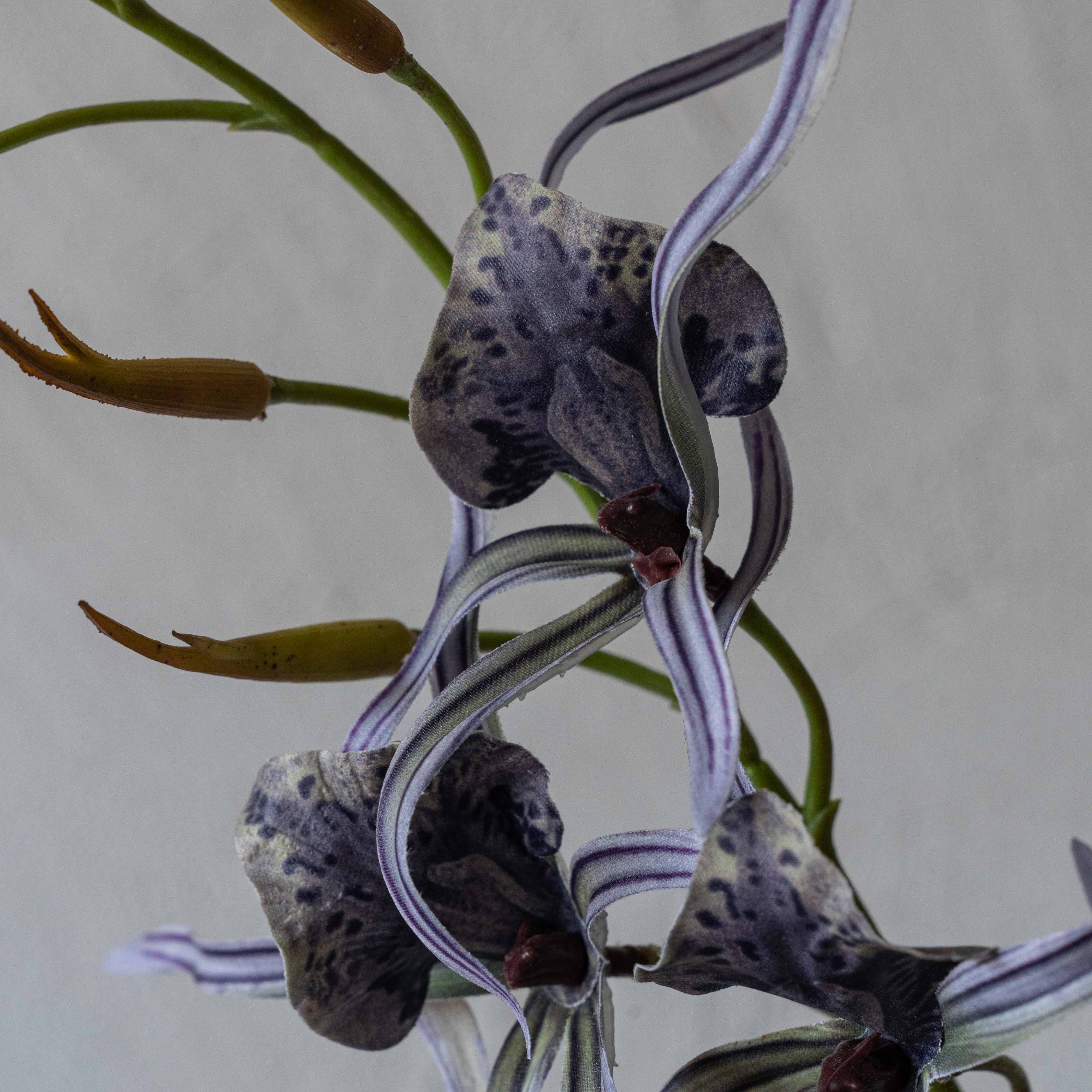 Styled Stems Purple Decorative Artifical Flower | Plant - Artificial Flowers - WS Living Furniture  Furniture Store in Dubai