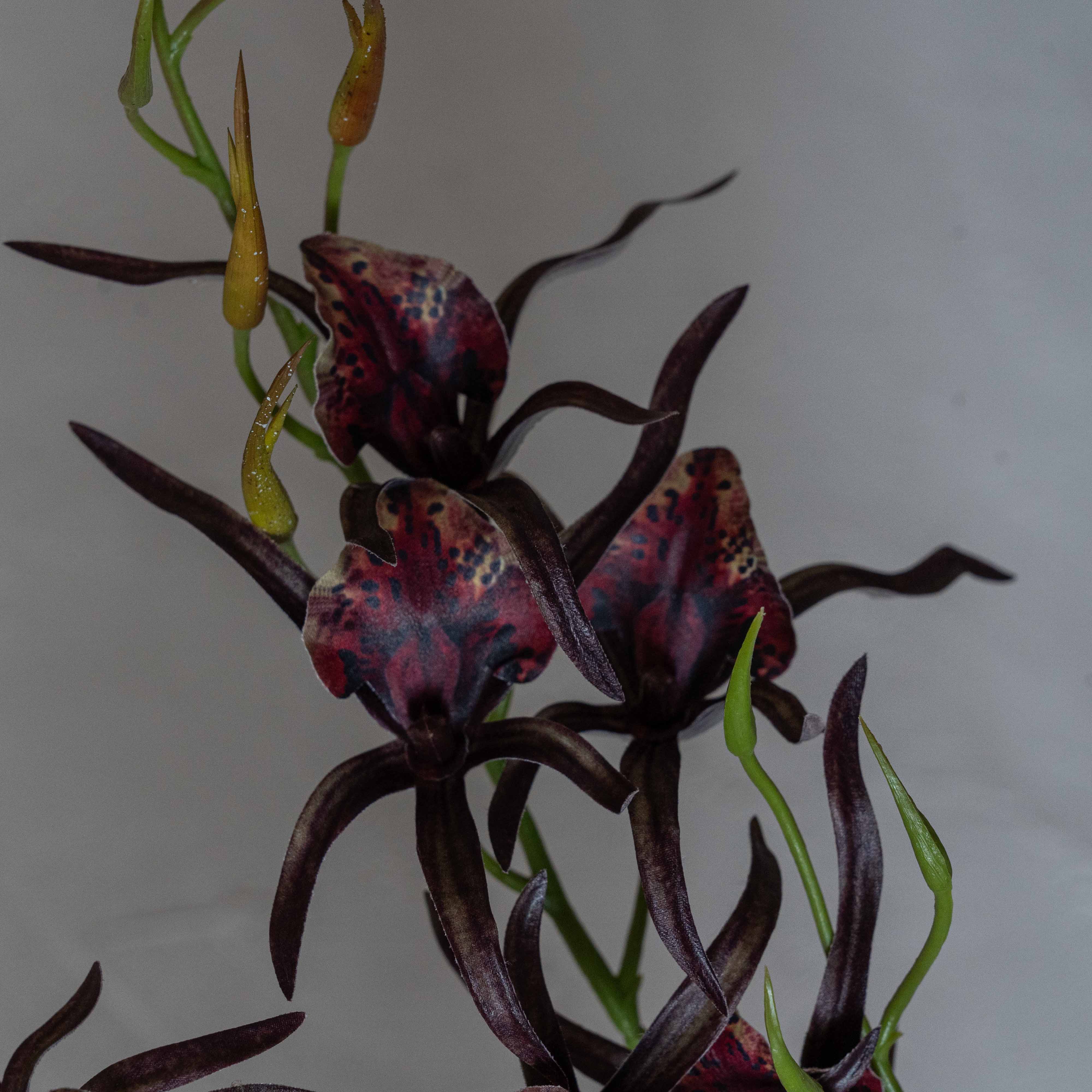 Styled Stems Red Decorative Artifical Flower | Plant - Artificial Flowers - WS Living Furniture  Furniture Store in Dubai