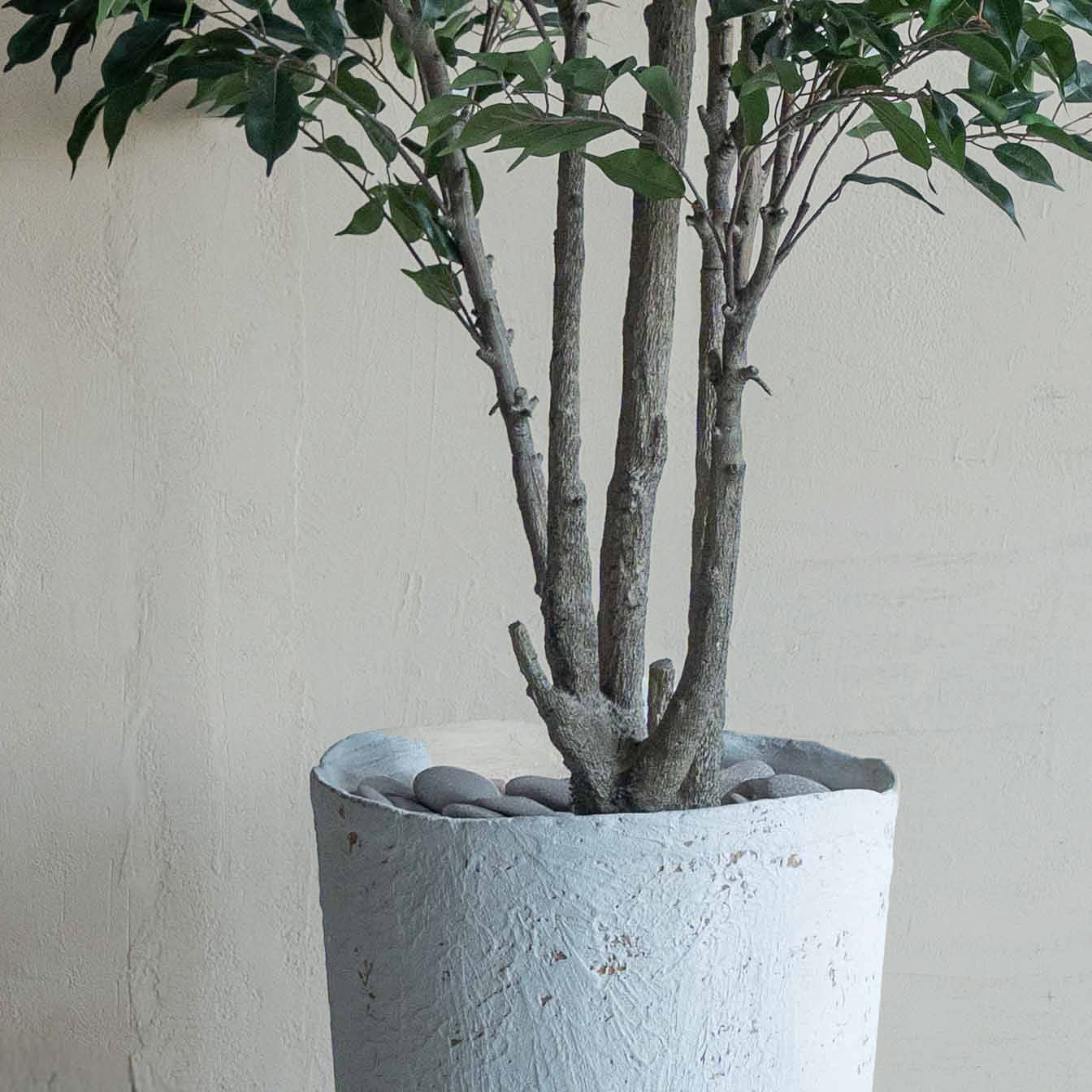 Ficus Handmade Decorative Artificial Tree - BIG - 250cm - Artificial Tree - WS Living Furniture Furniture Store in Dubai