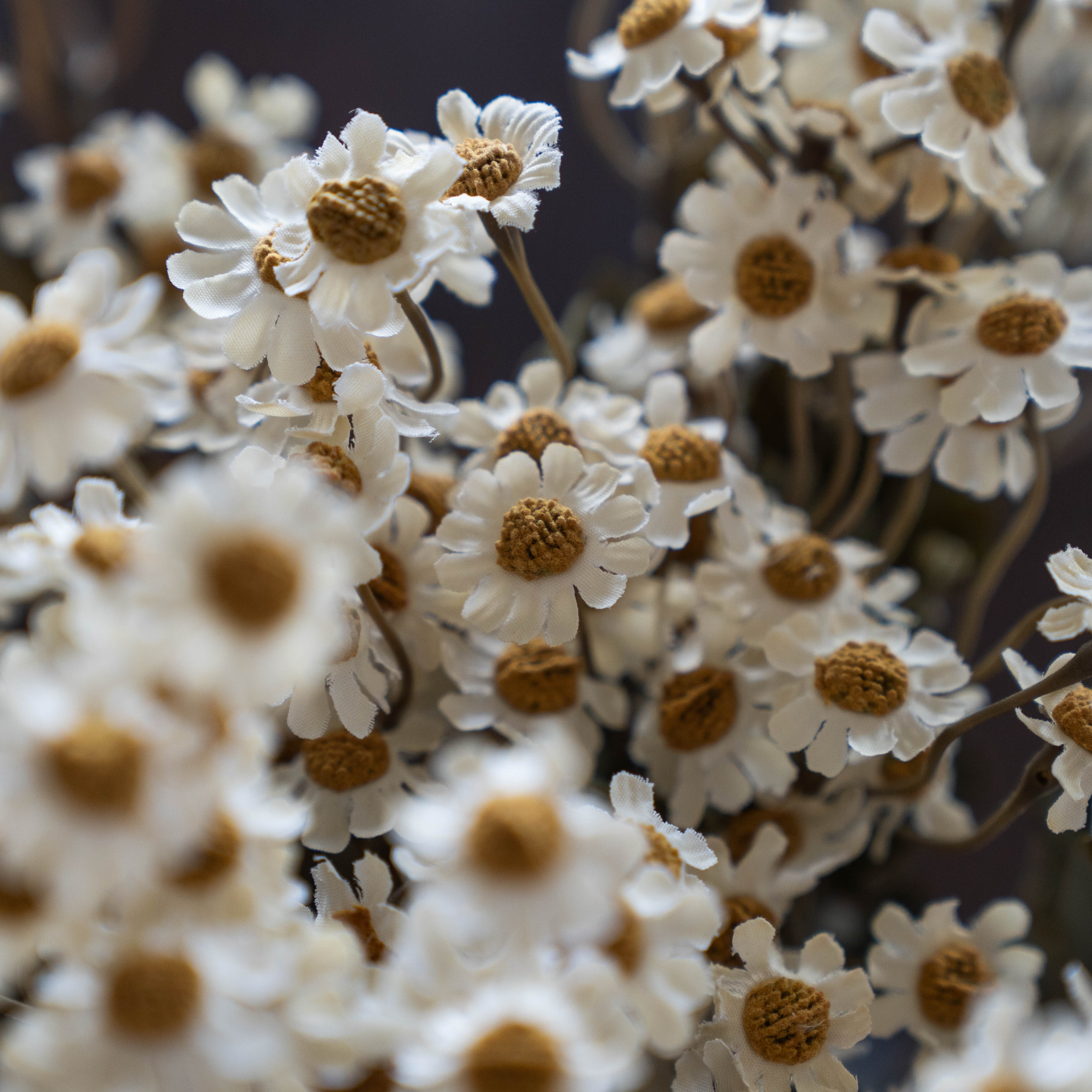Oxeye Daisy White - Anzac Artificial Flower  (White) - Artificial Flowers - WS Living Furniture  Furniture Store in Dubai