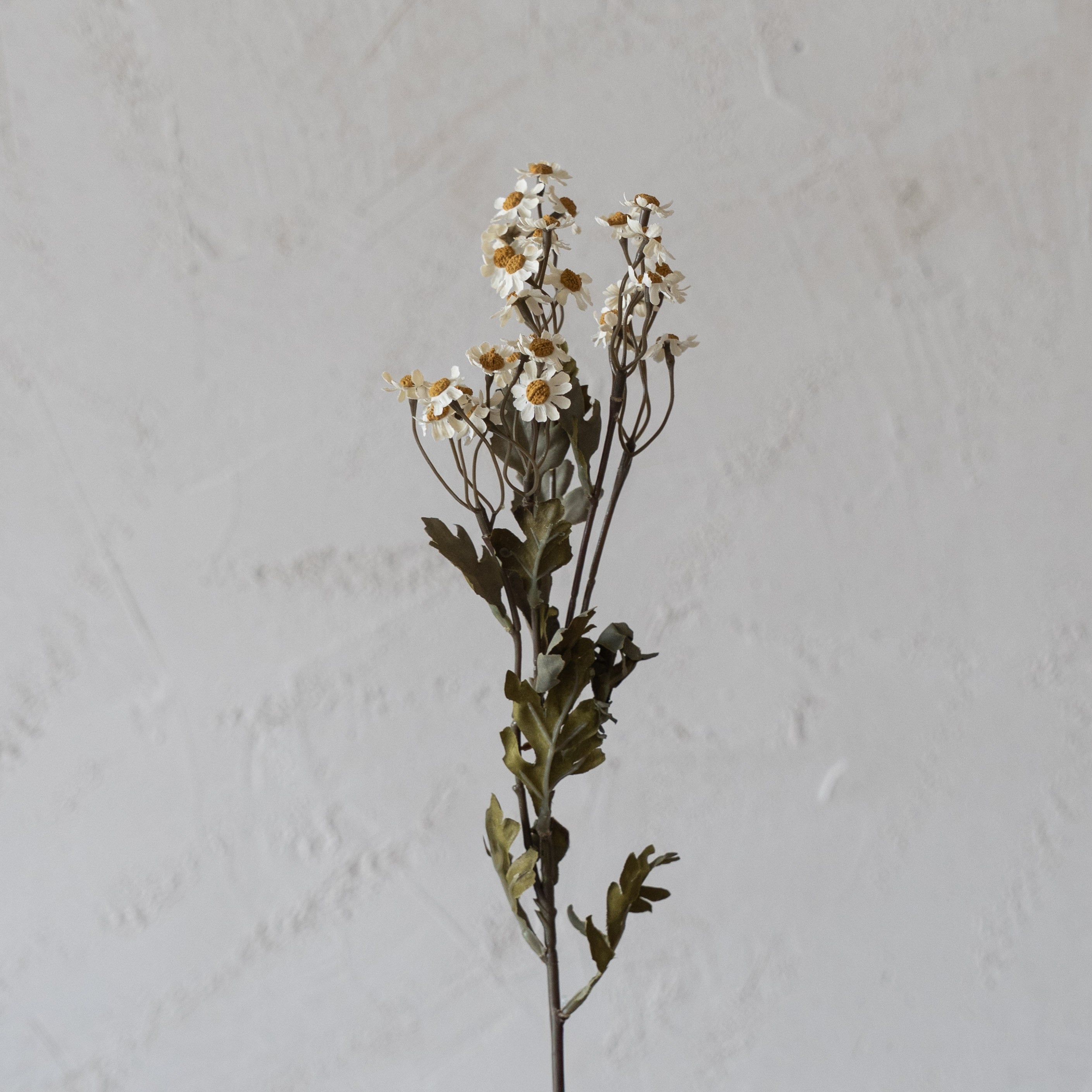 Oxeye Daisy White - Anzac Artificial Flower  (White) - Artificial Flowers - WS Living Furniture  Furniture Store in Dubai