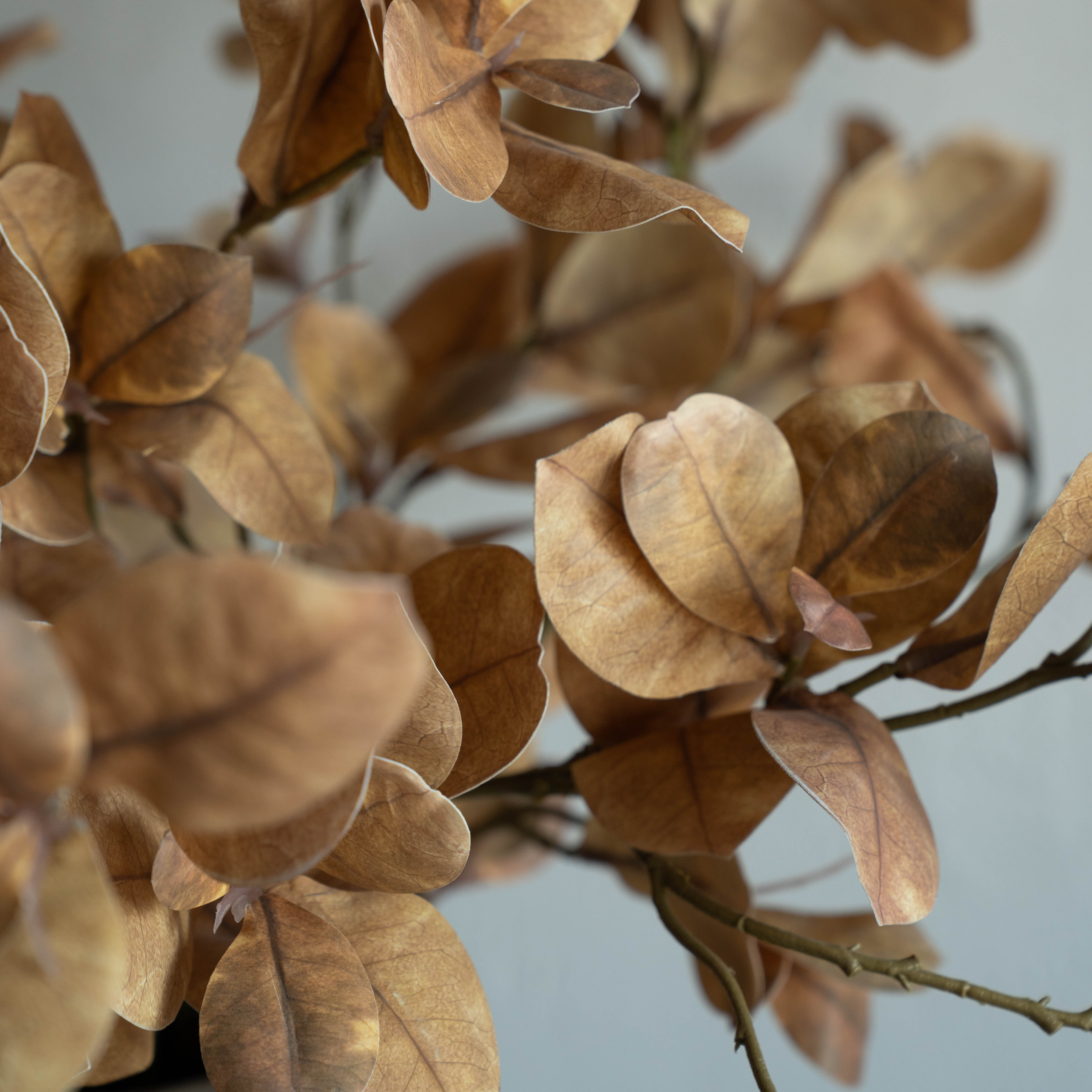 Artificial Plant - Salsia Pale Brown
