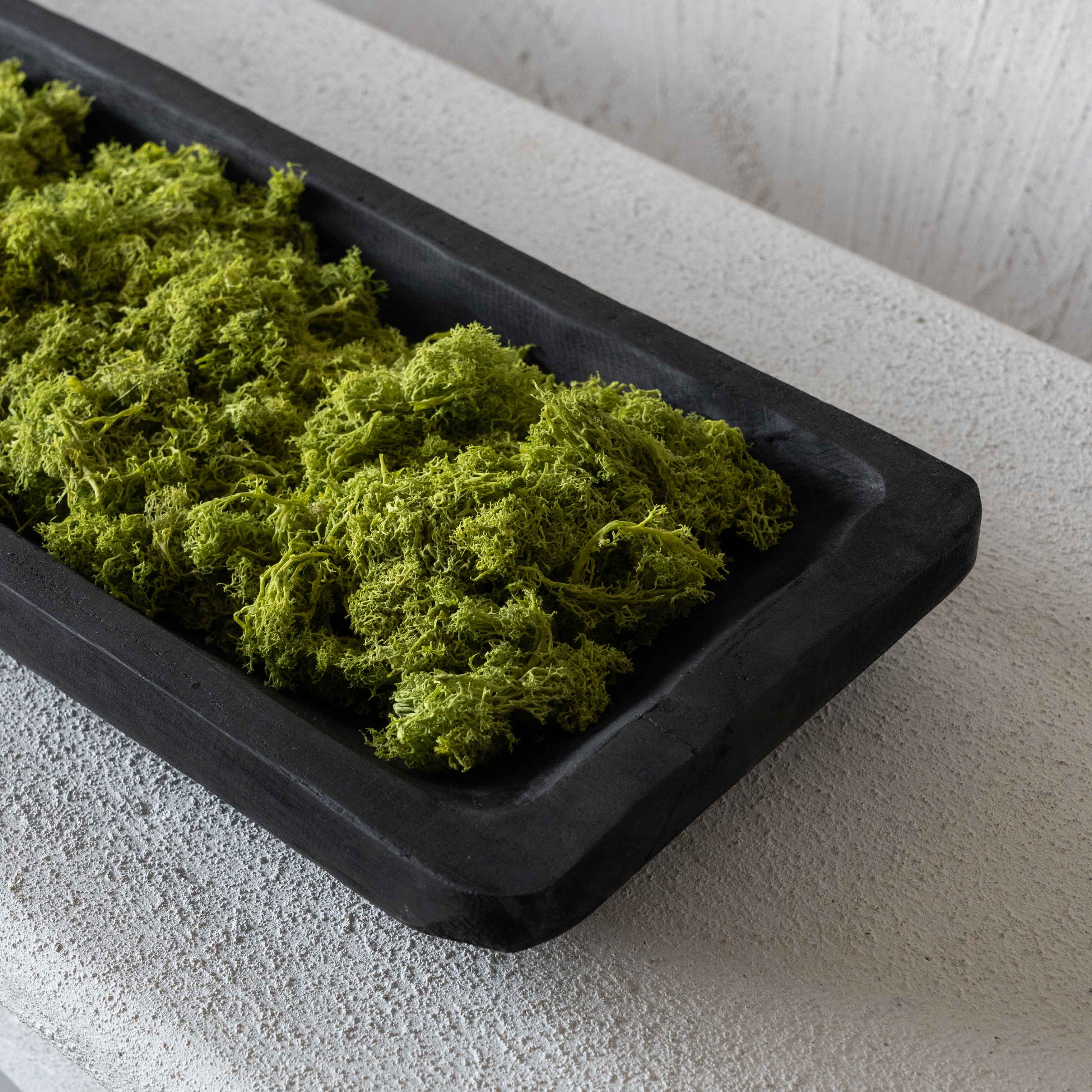 Artisan Decorative Black Solid Wood Rectangle Tray - Tray - WS Living Furniture Furniture Store in Dubai
