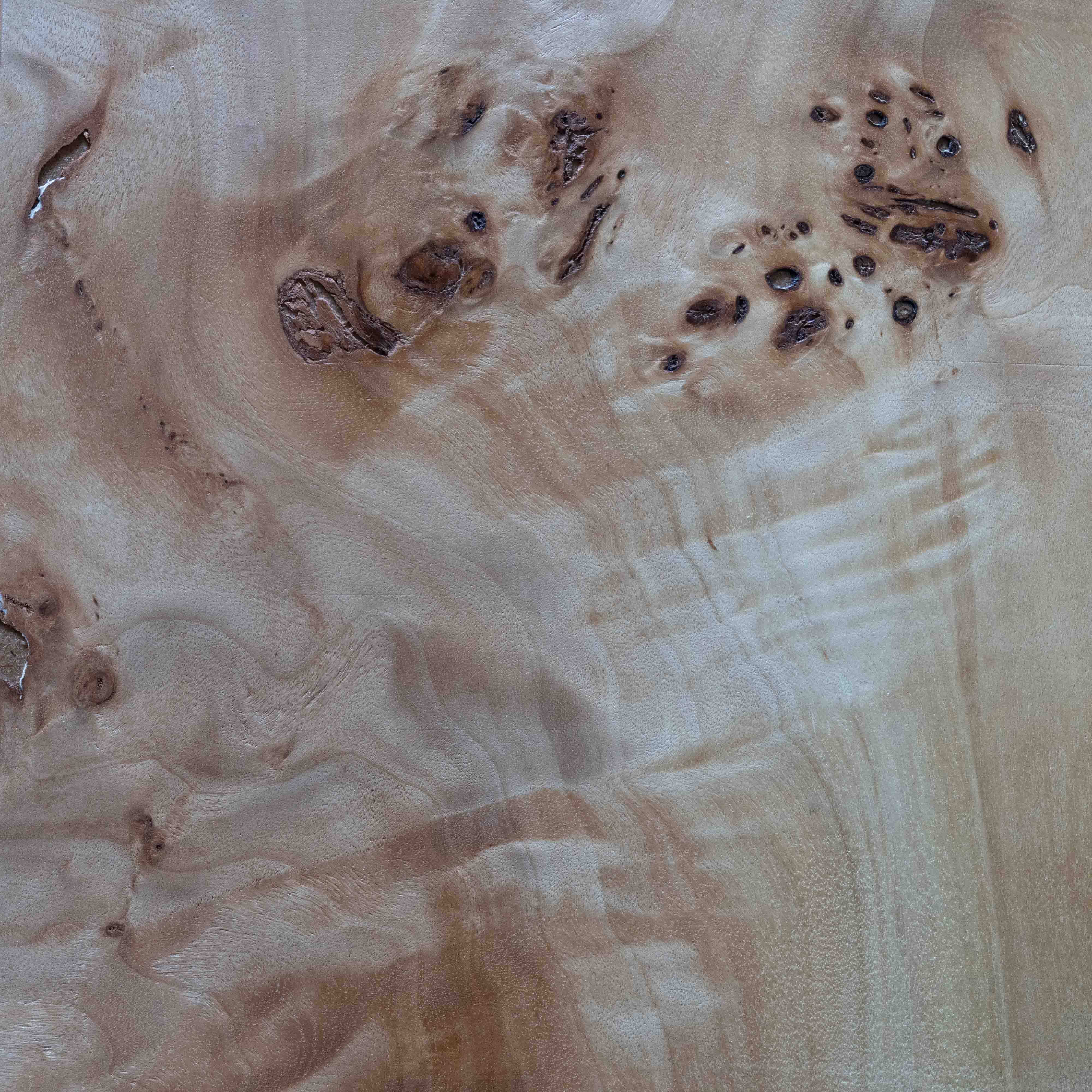 Artisan Cube Classic Burl Wood End Side Table  | Accent Table - Side Tables - WS Living Furniture  Furniture Store in Dubai