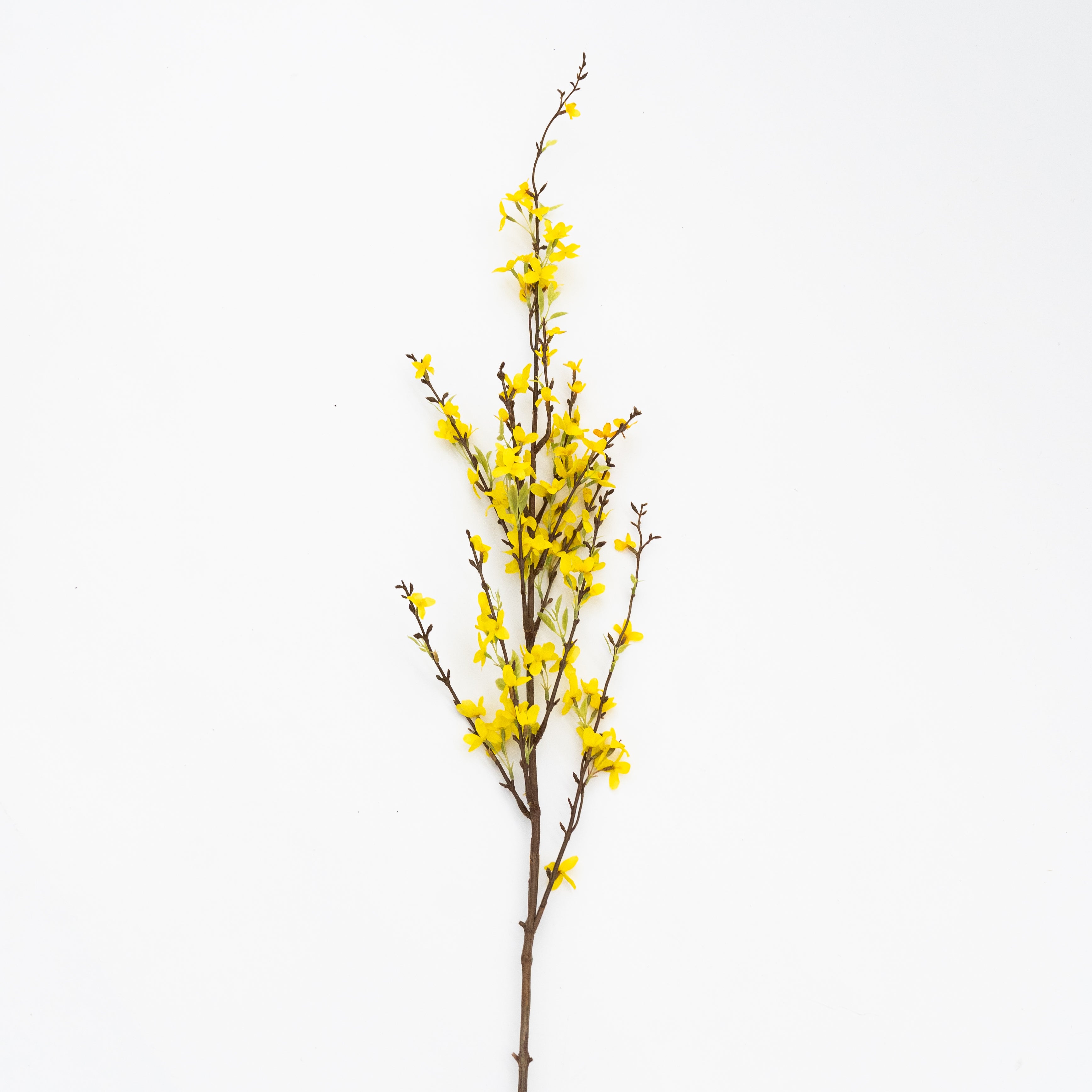 Artificial Plant - Winter Jasmine  - WS Living - UAE - Artificial Flowers Wood and steel Furnitures - Dubai