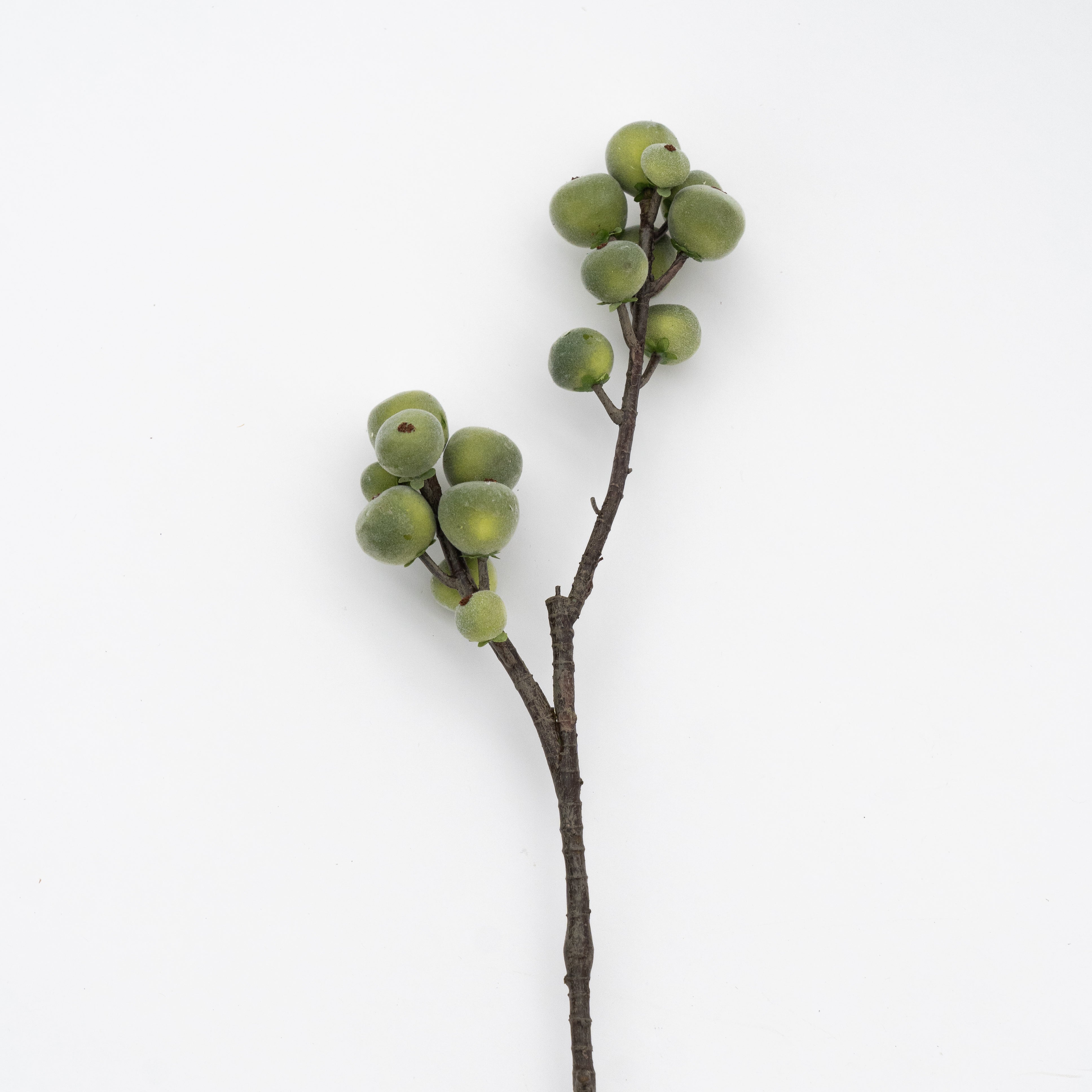 Artificial Plant - Figs  - WS Living - UAE - Artificial Flowers Wood and steel Furnitures - Dubai