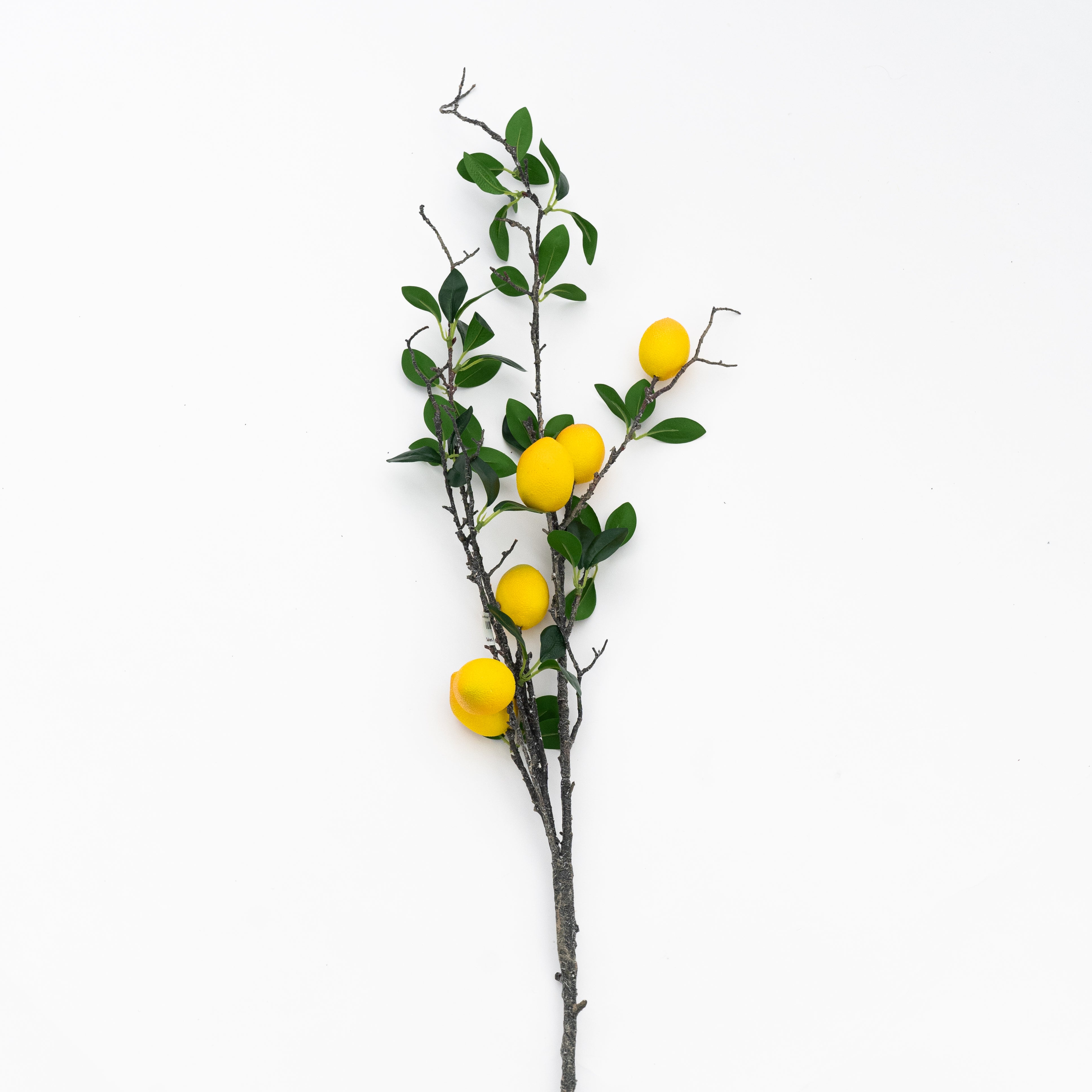 Artificial Plant - Sicilian Lemon  - WS Living - UAE - Artificial Flowers Wood and steel Furnitures - Dubai