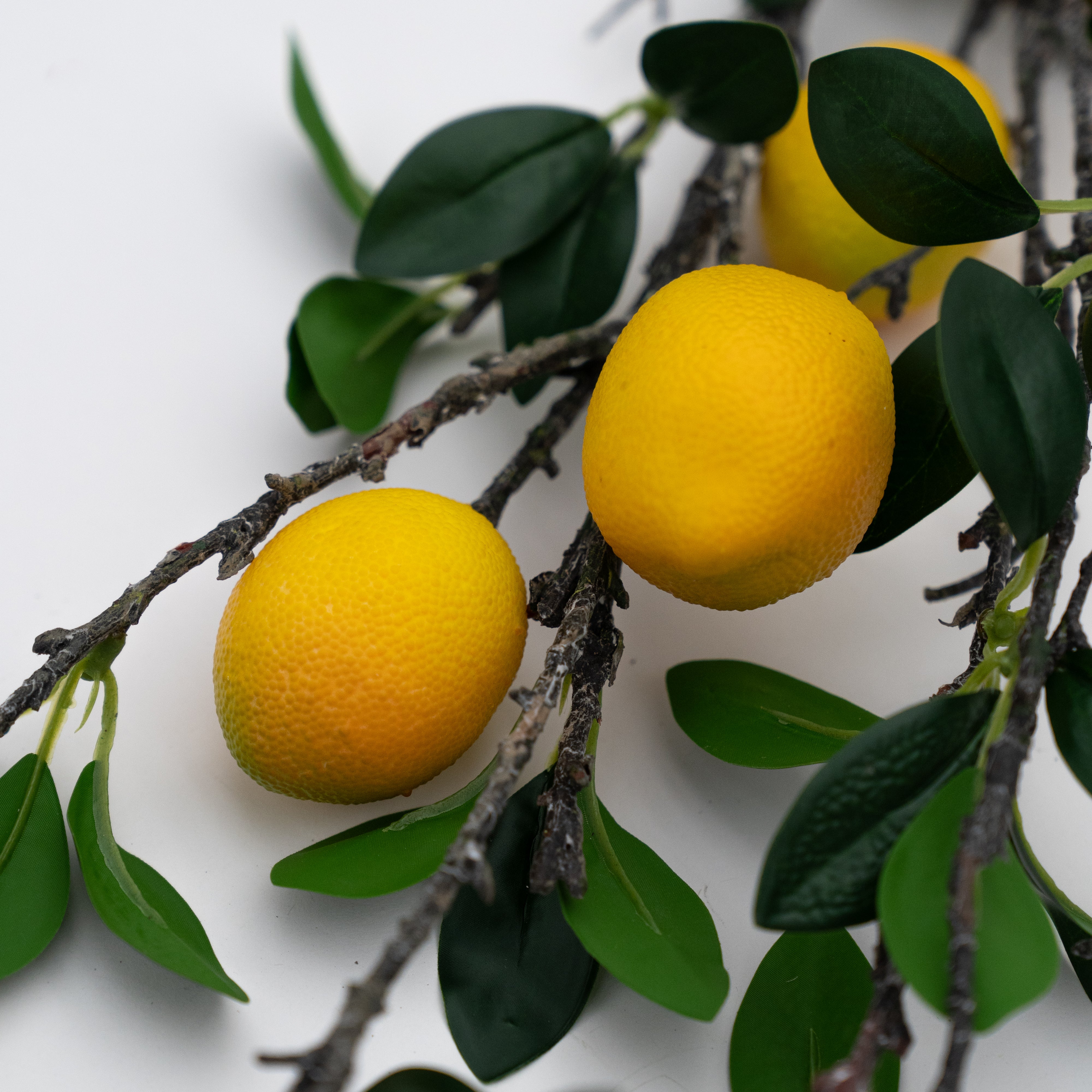 Artificial Plant - Sicilian Lemon  - WS Living - UAE - Artificial Flowers Wood and steel Furnitures - Dubai